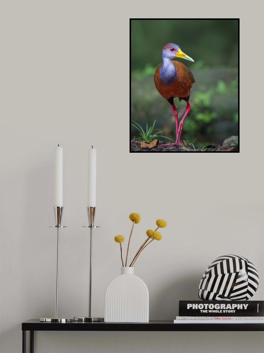 Wood Rail Glimpse Poster och Canvastavla