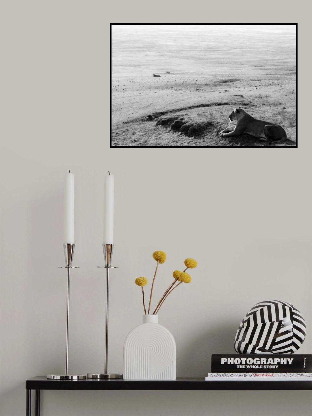 On the morning prowl Poster och Canvastavla