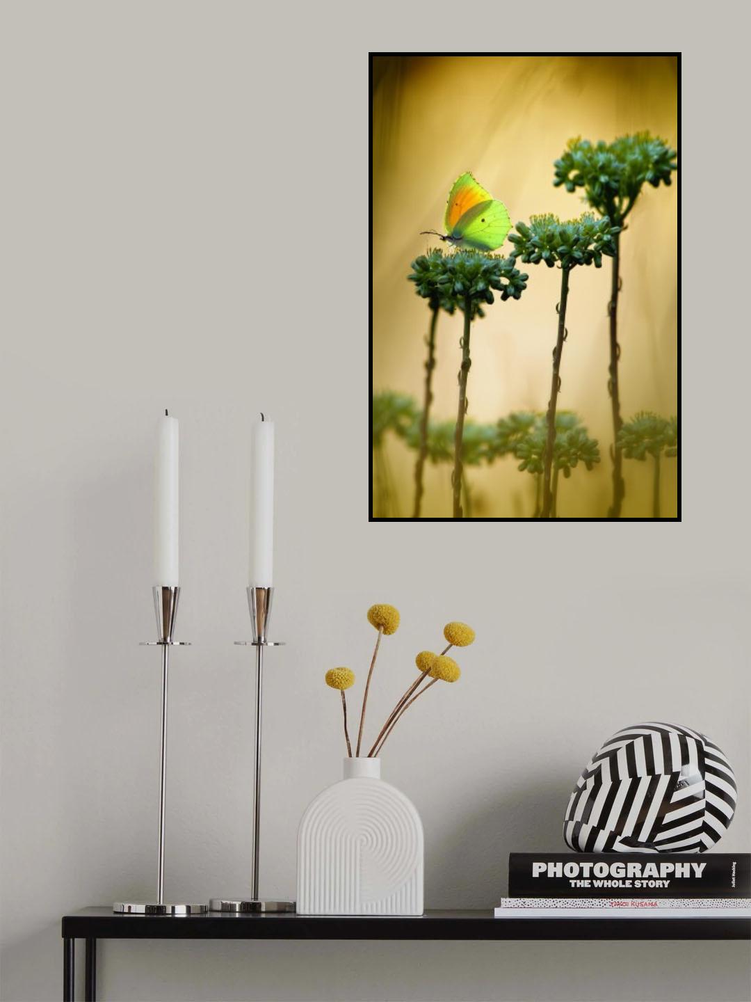 Cleopatra Poster och Canvastavla