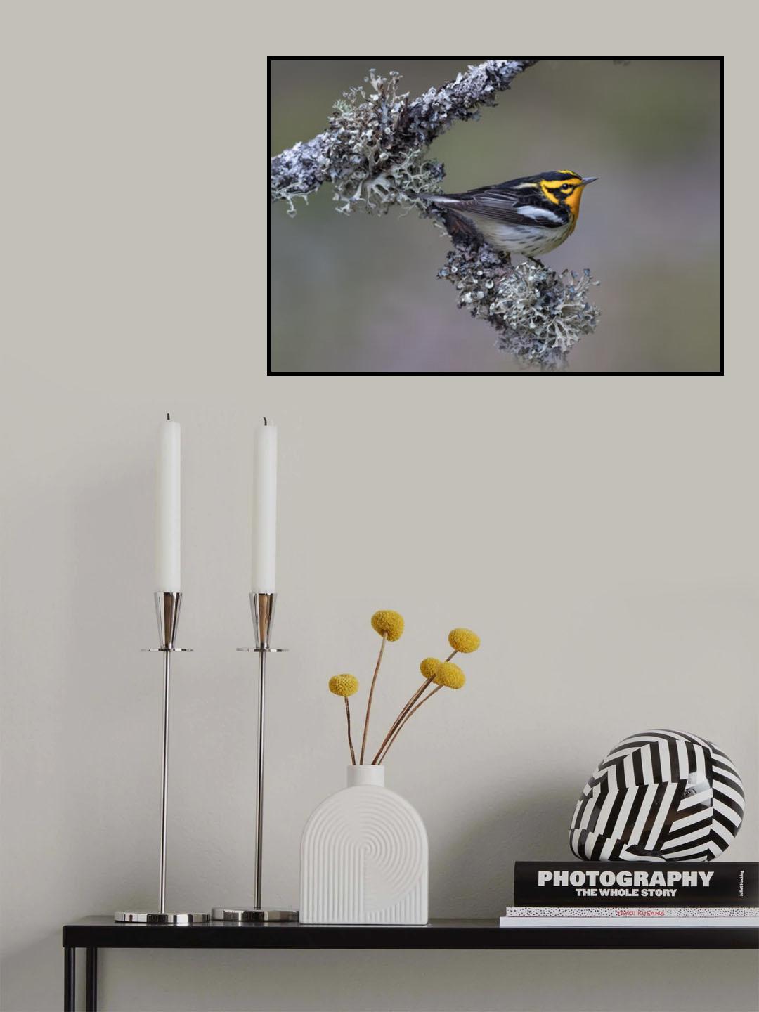 Orange jewel Poster och Canvastavla