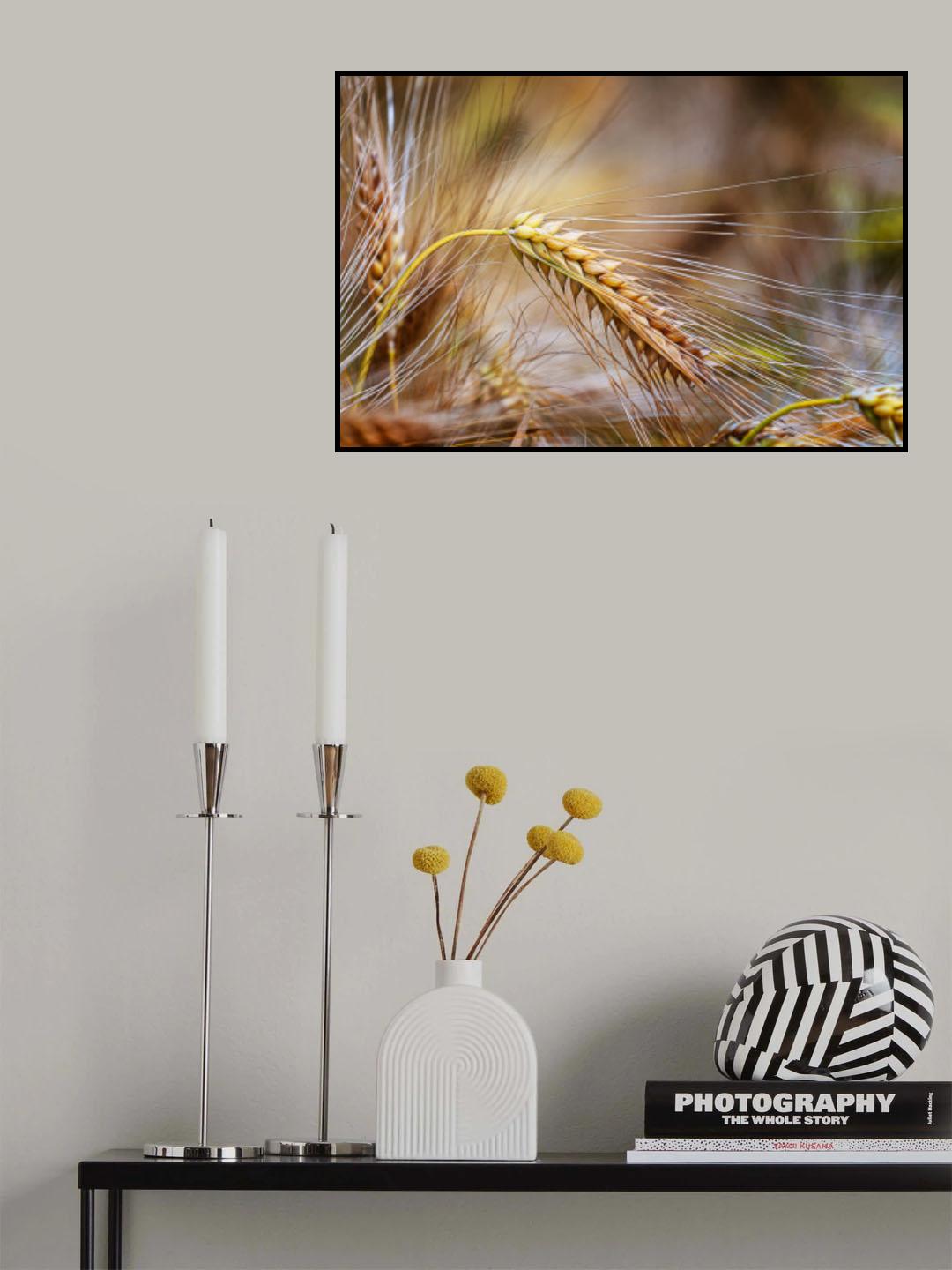 Rye II Poster och Canvastavla