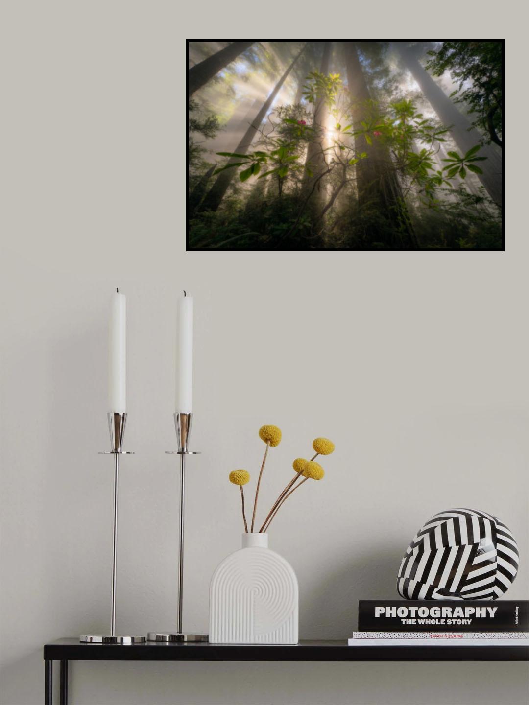 Among giants Poster och Canvastavla