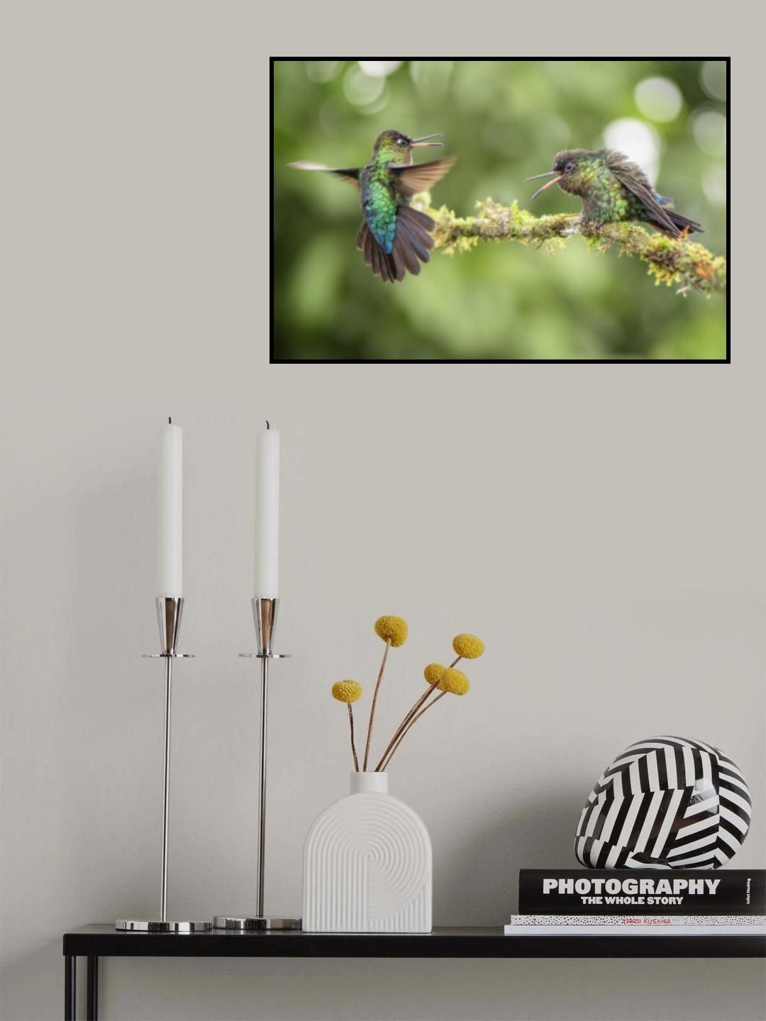 Declaration of hummingbird Poster och Canvastavla