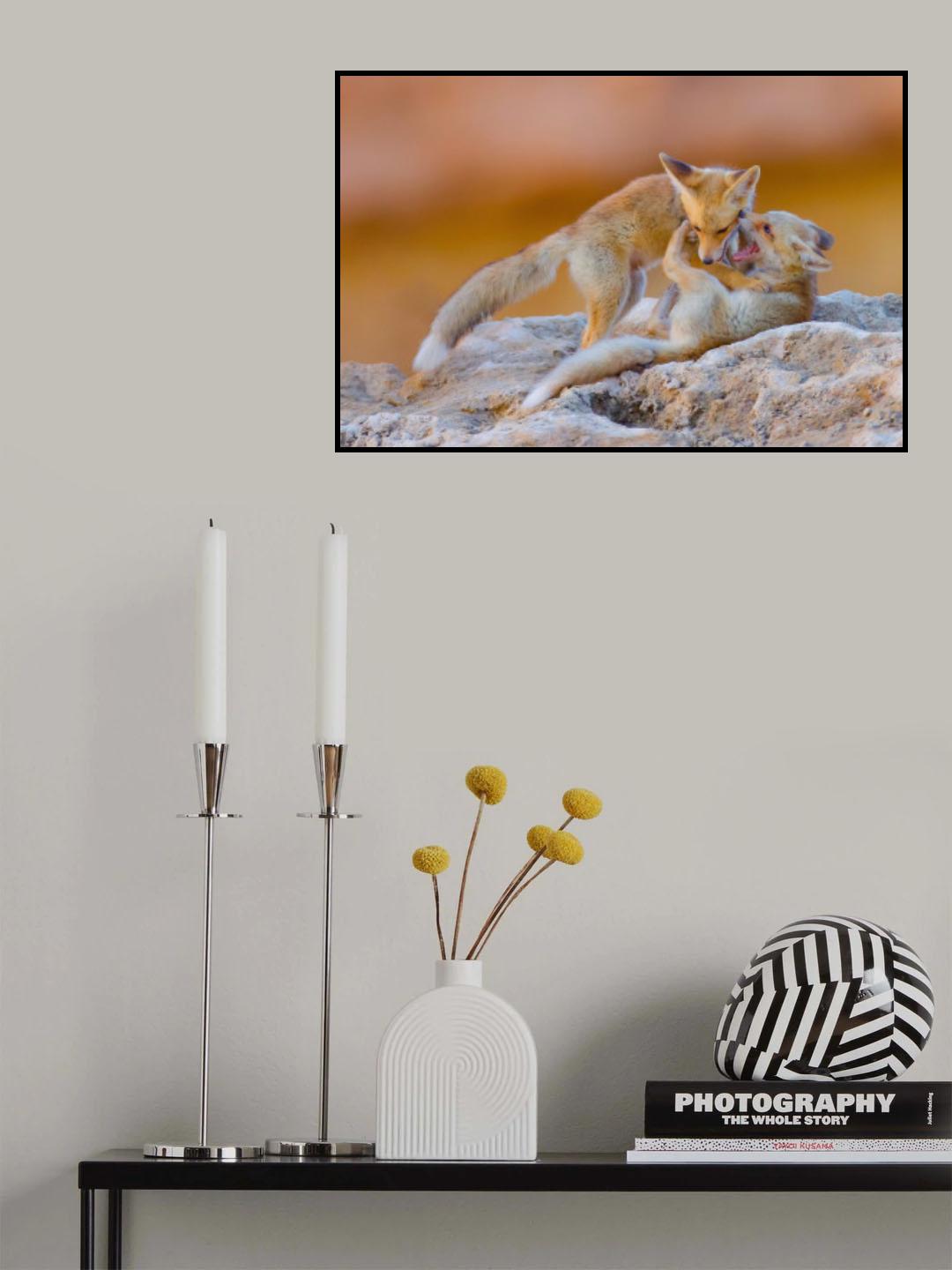 Fox family Poster och Canvastavla