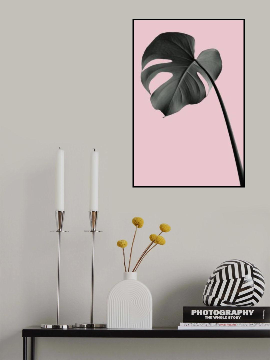 Monstera Pink No 02 Poster och Canvastavla