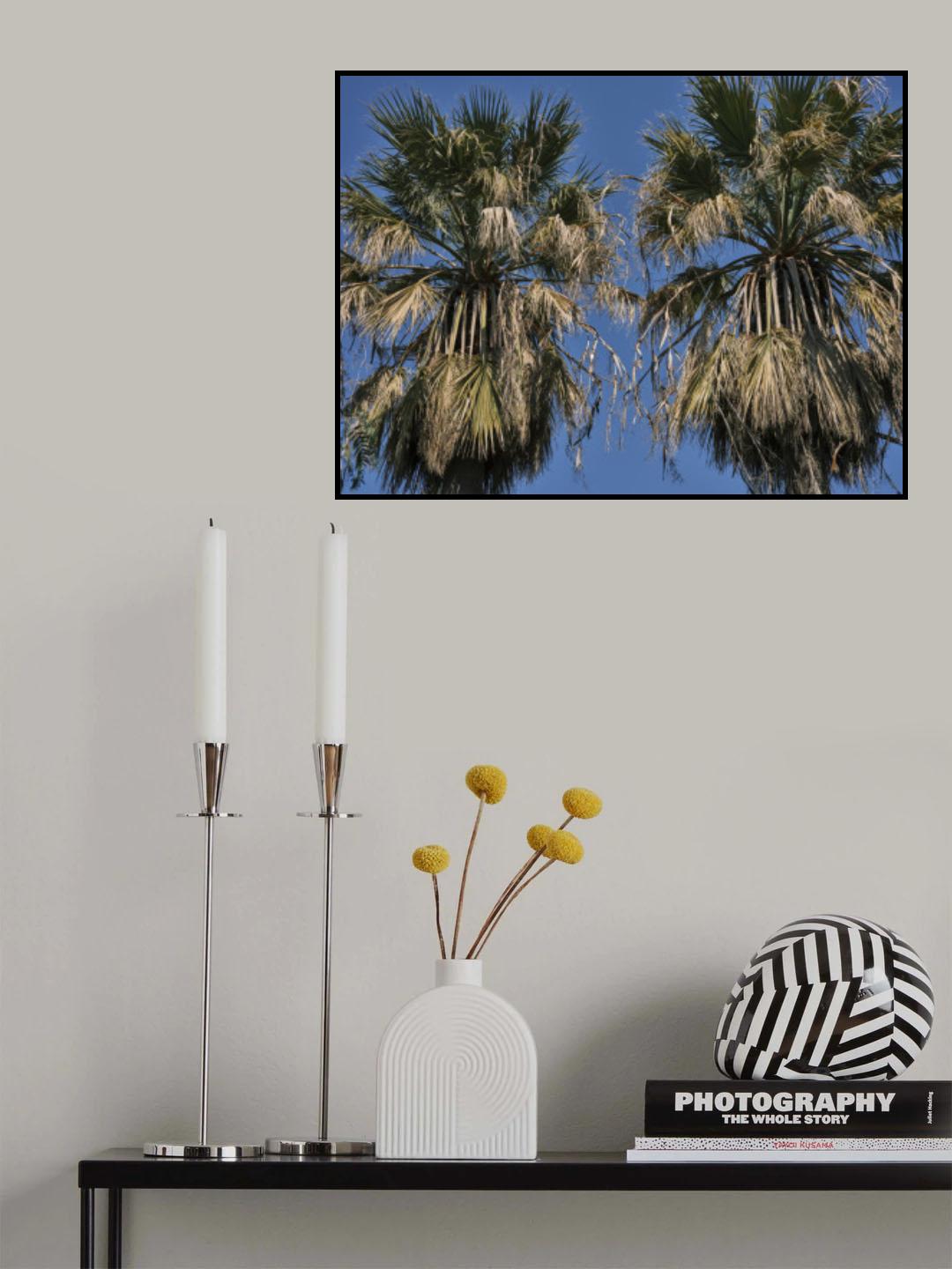 palm trees Poster och Canvastavla