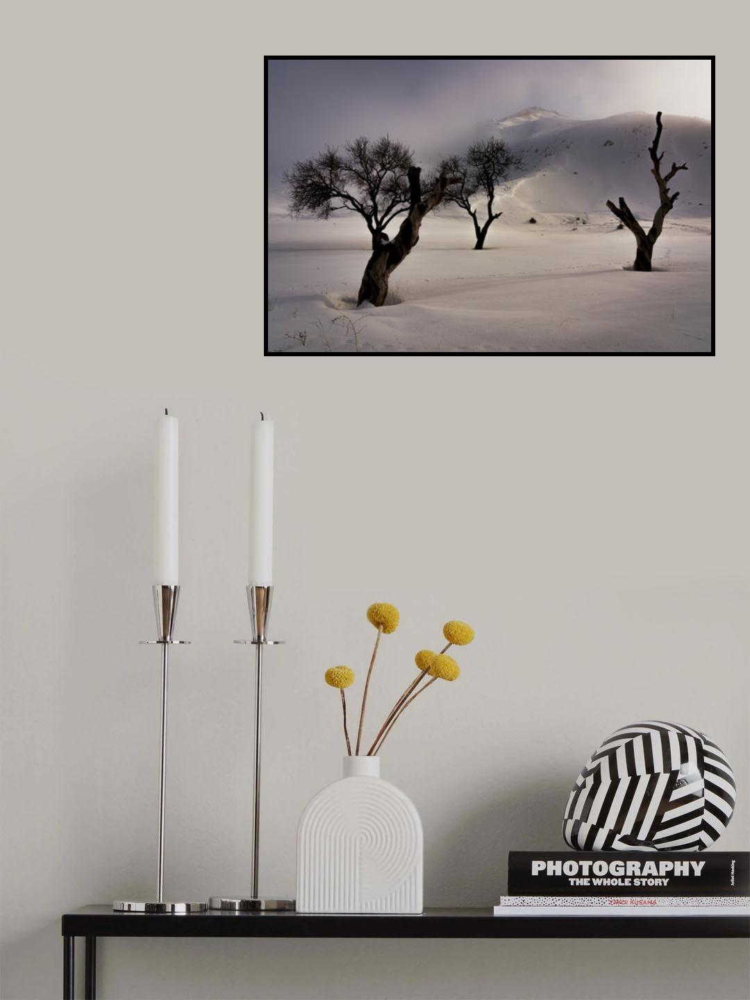 winter Poster och Canvastavla
