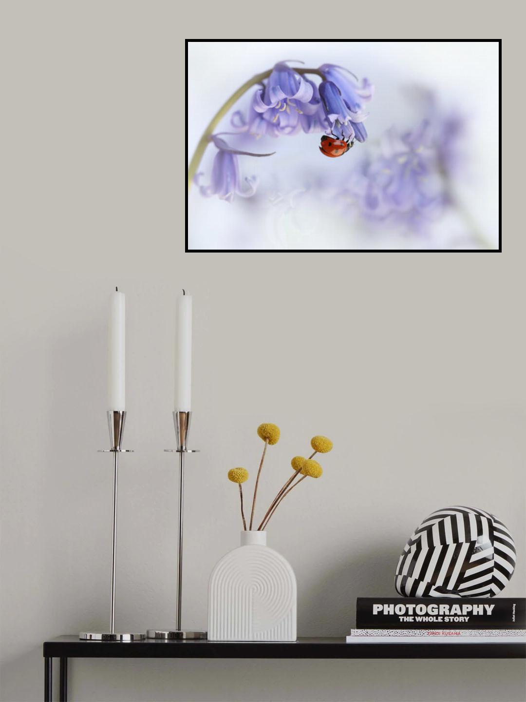 Ladybird...! Poster och Canvastavla