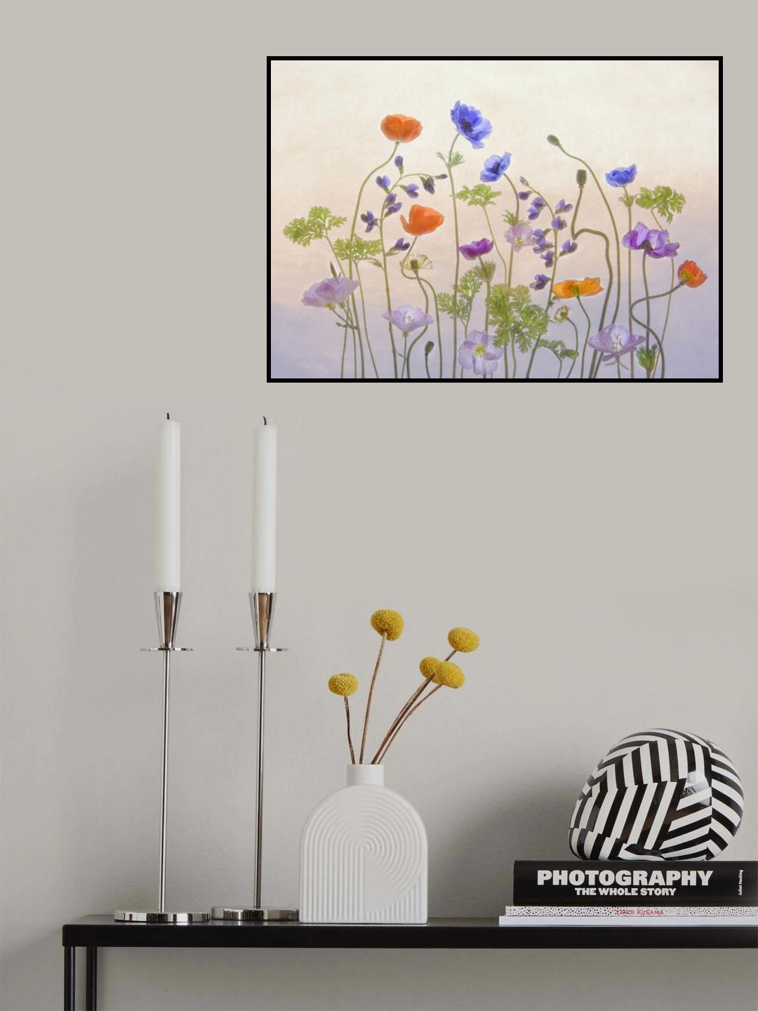 Poppy & Anemone Poster och Canvastavla