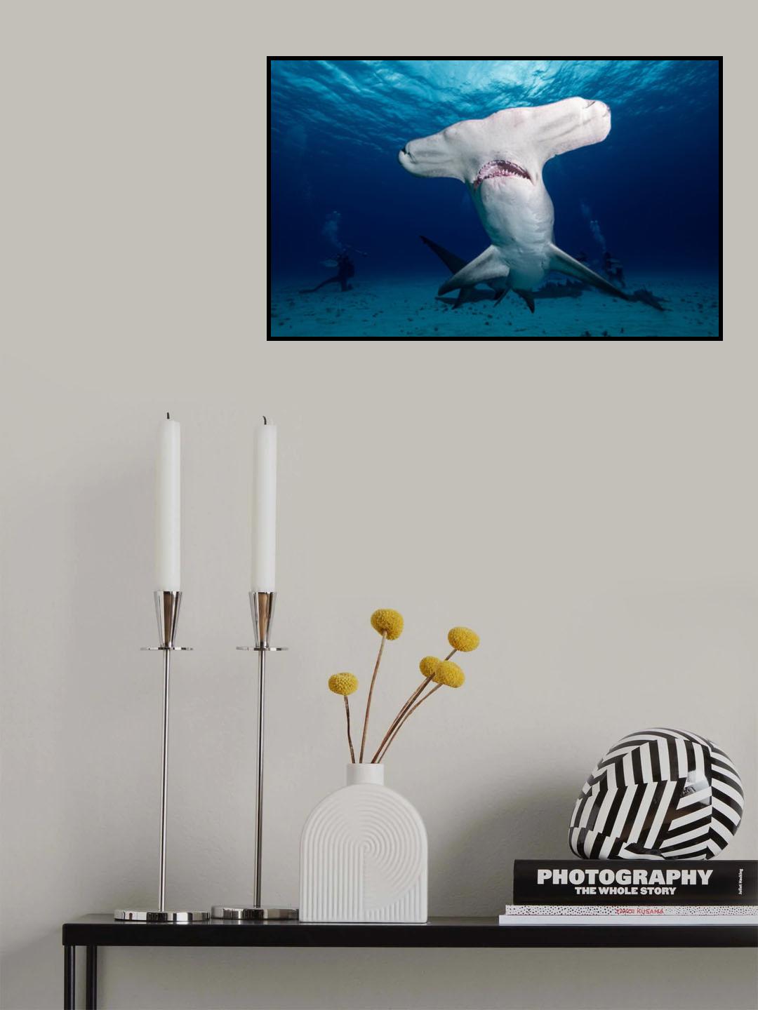 Hammer says Hi! Poster och Canvastavla