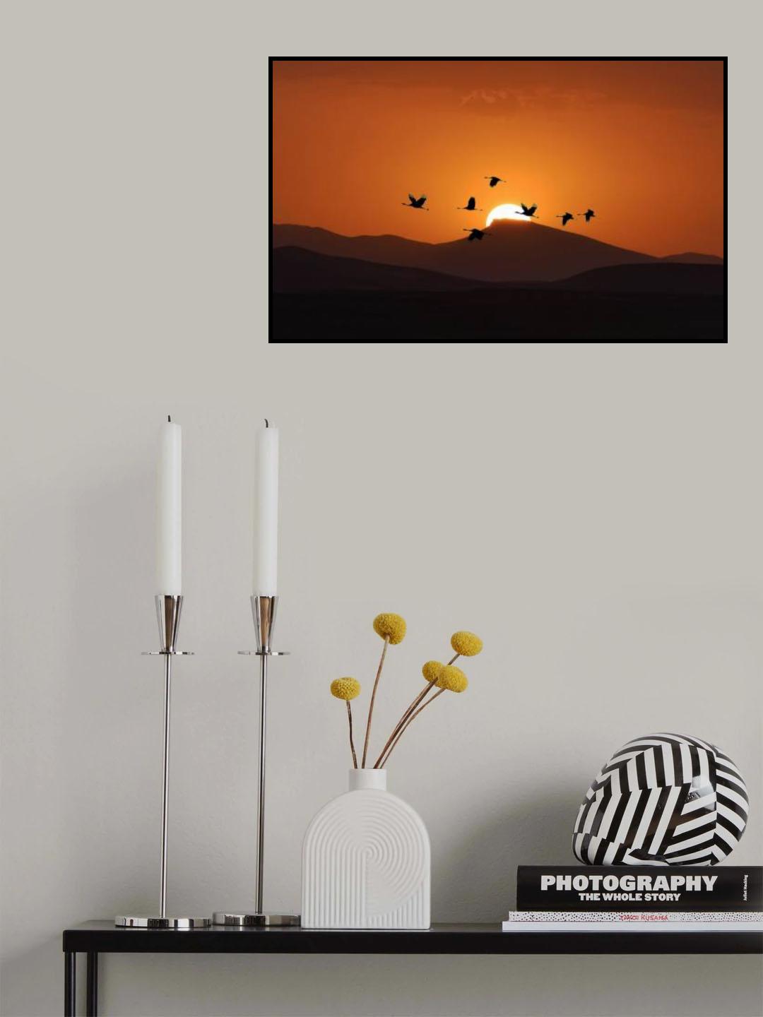 Fly... Poster och Canvastavla