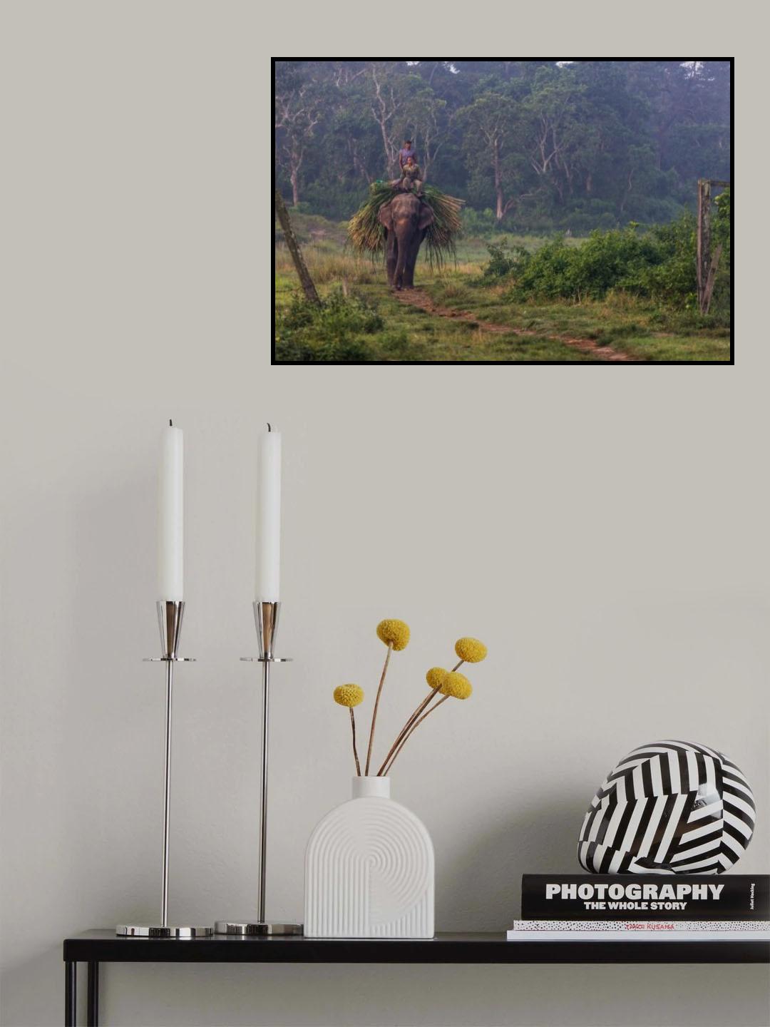 coming home Poster och Canvastavla