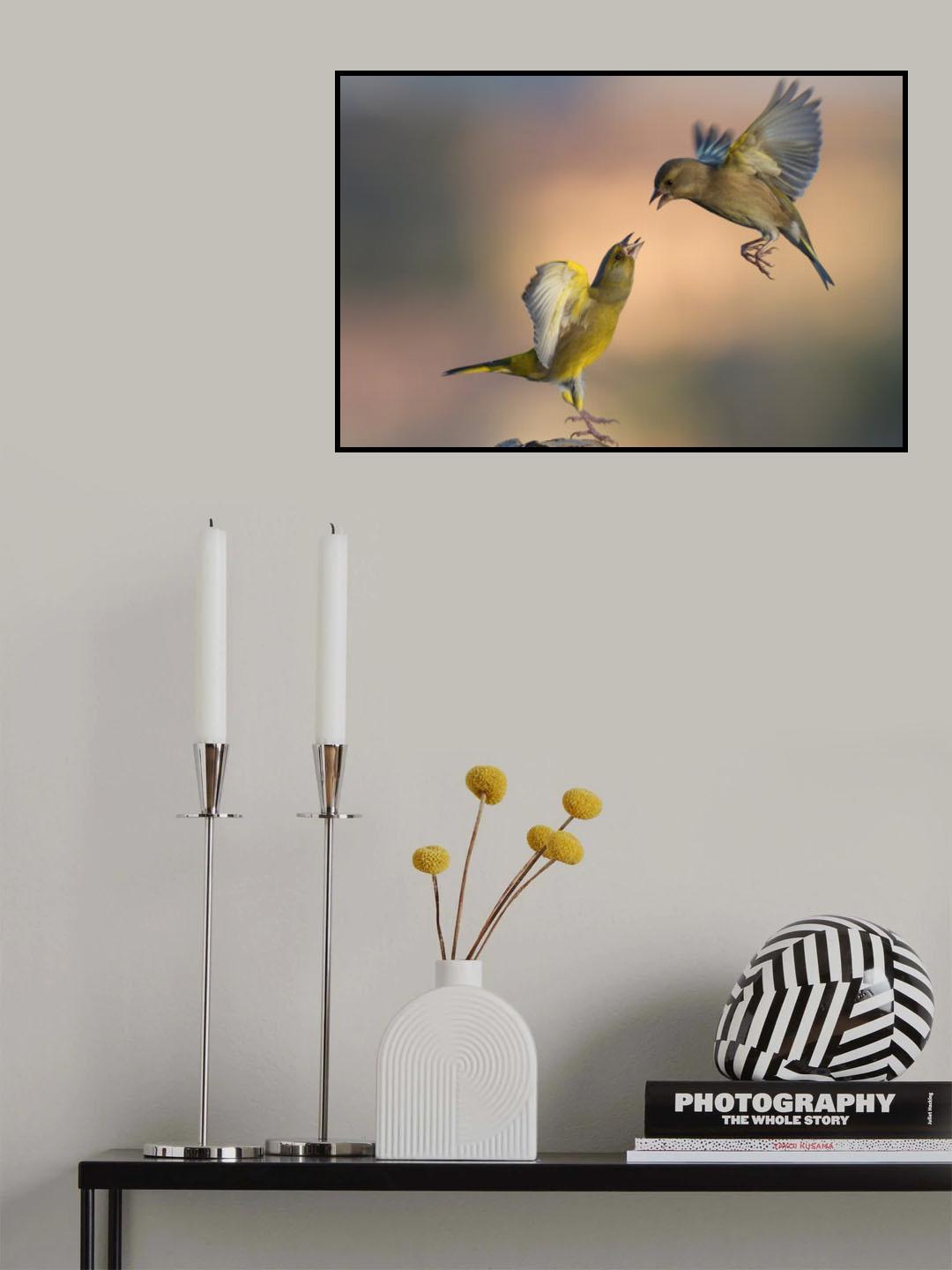 Fighting at dawn Poster och Canvastavla