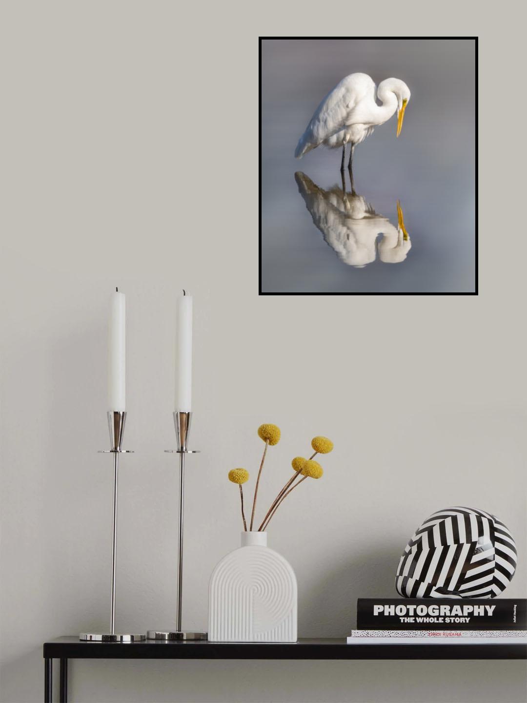Discovery Poster och Canvastavla
