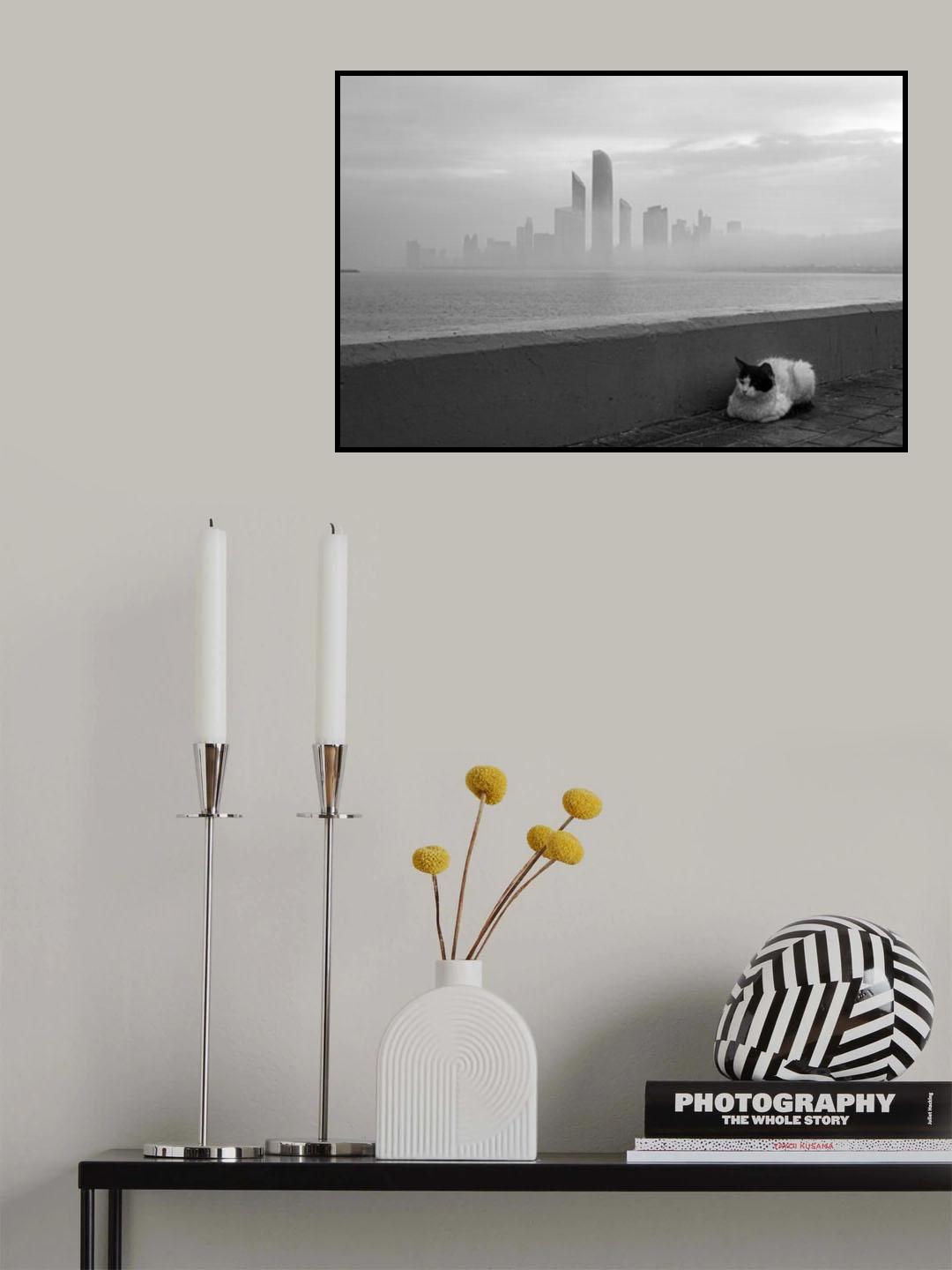 The cat in morning mood Poster och Canvastavla