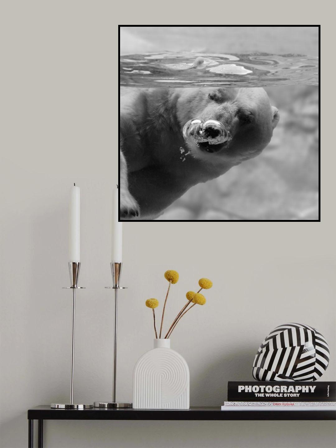 Bubbles Poster och Canvastavla