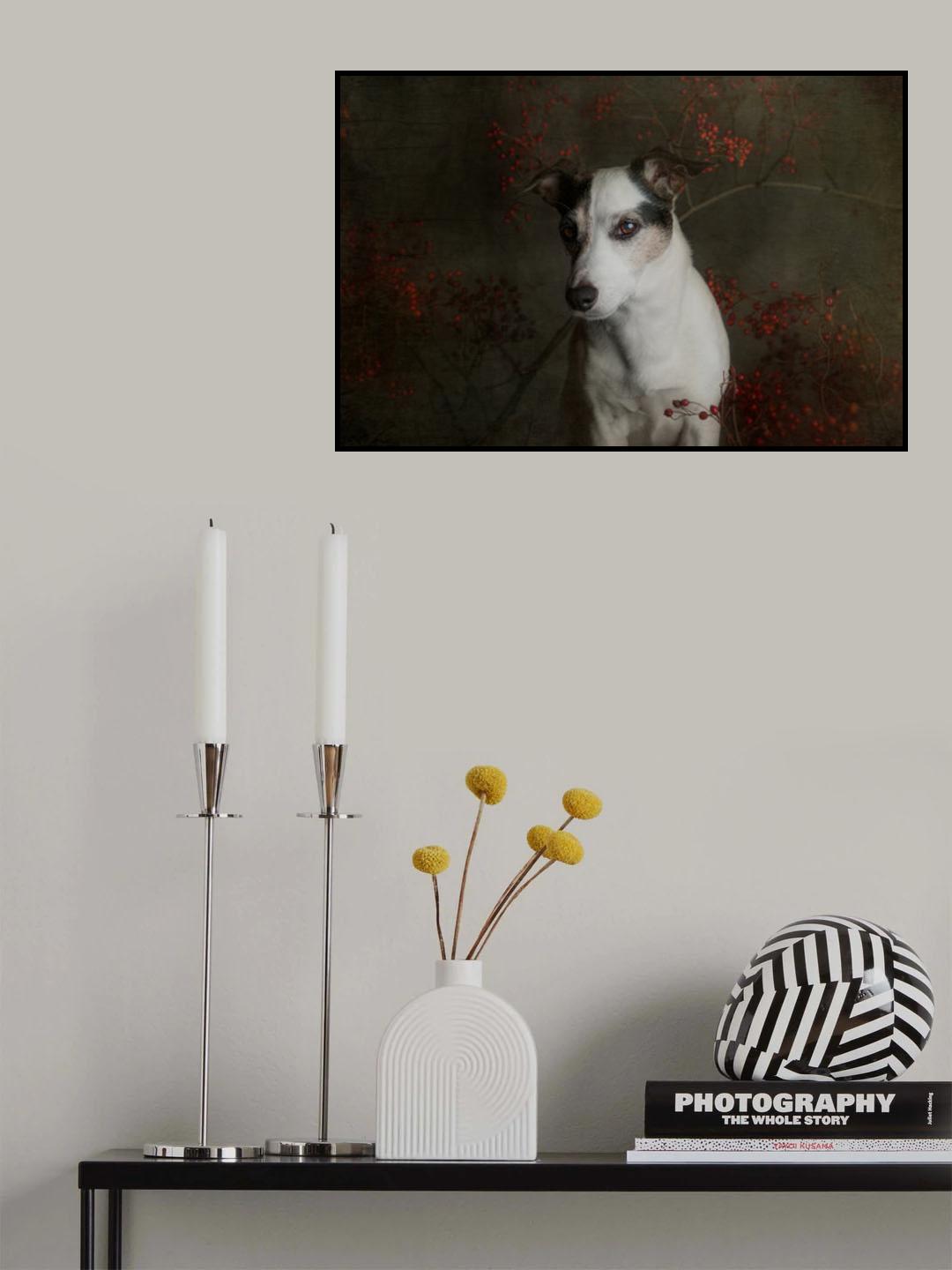 The woods are lovely, dark and deep..... Poster och Canvastavla