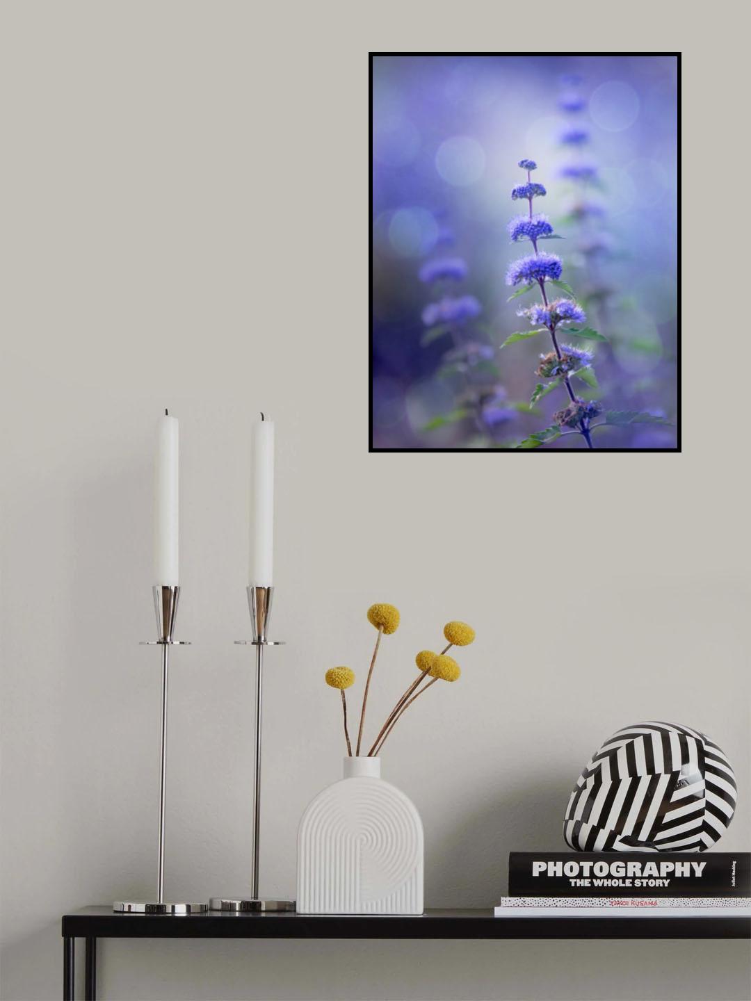 brightness Poster och Canvastavla