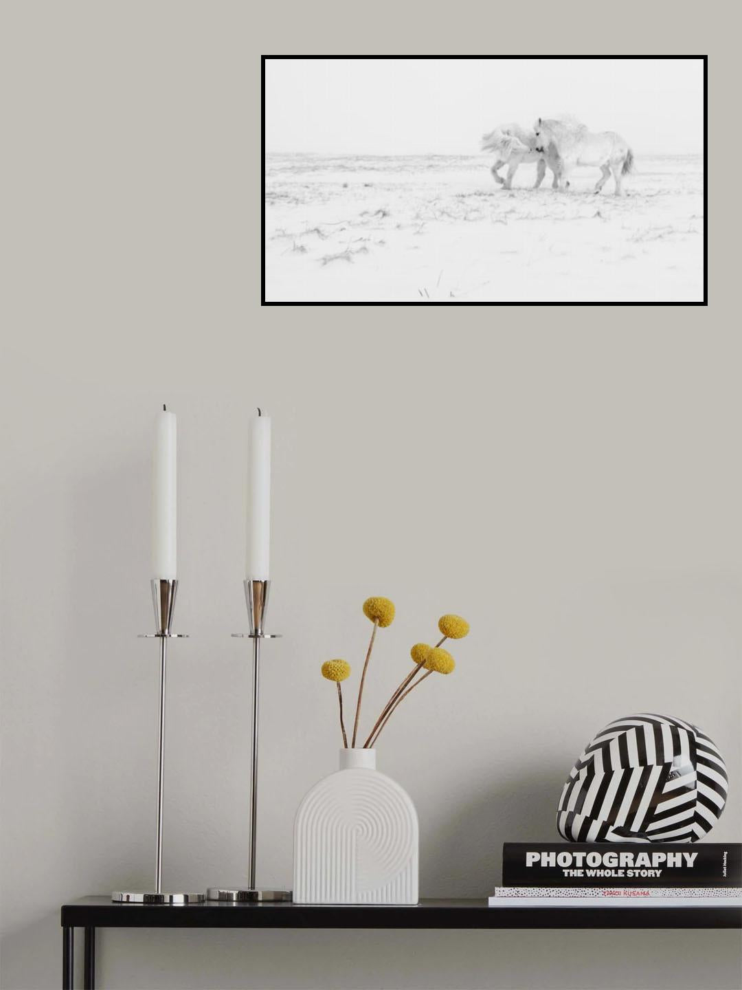 Horse dance Poster och Canvastavla