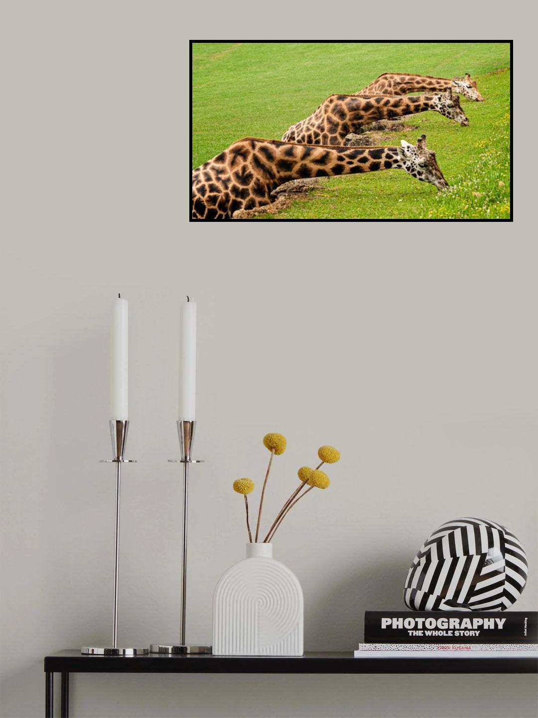 Poster och Canvastavla