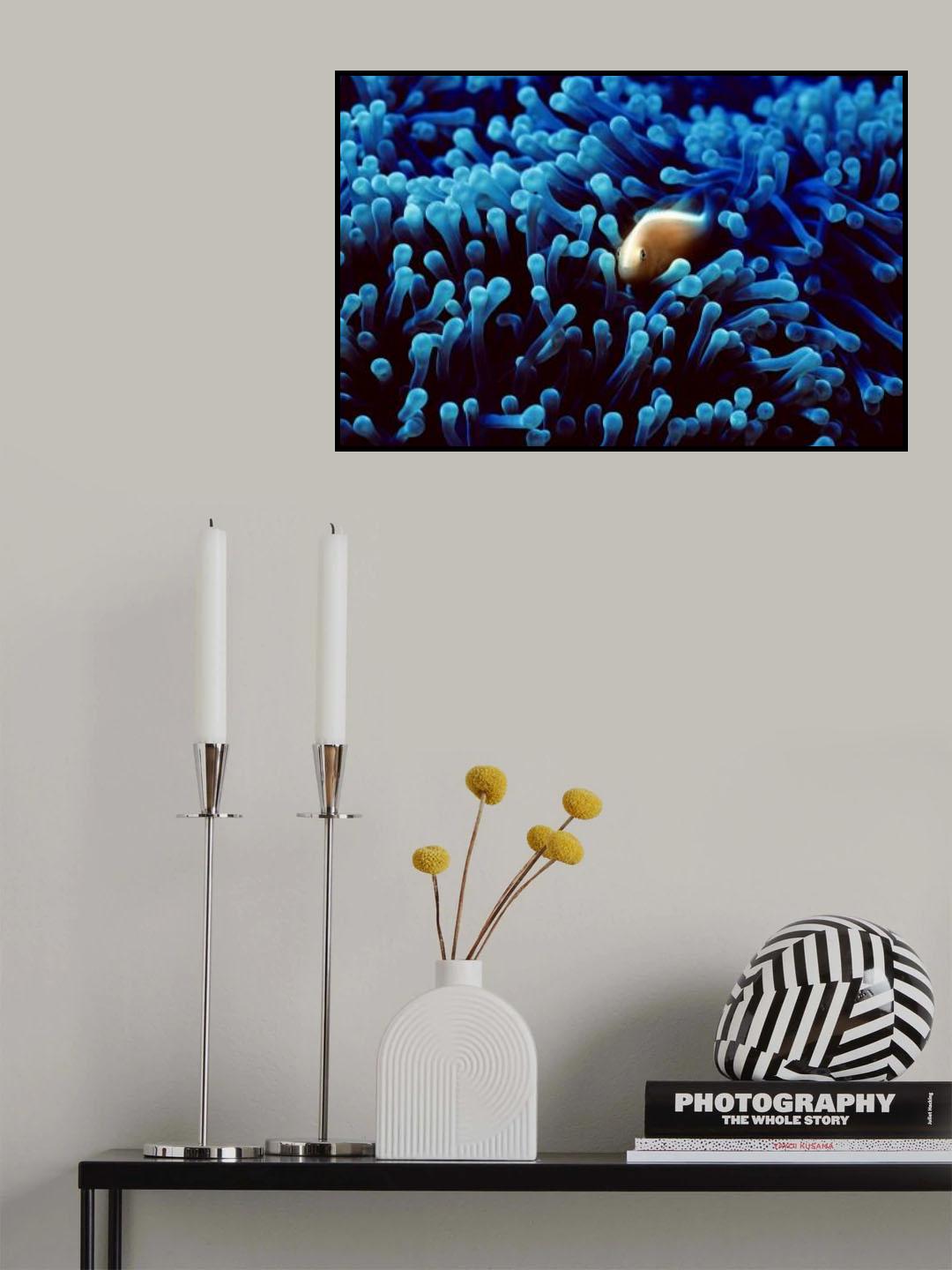 Clown in the blue Poster och Canvastavla