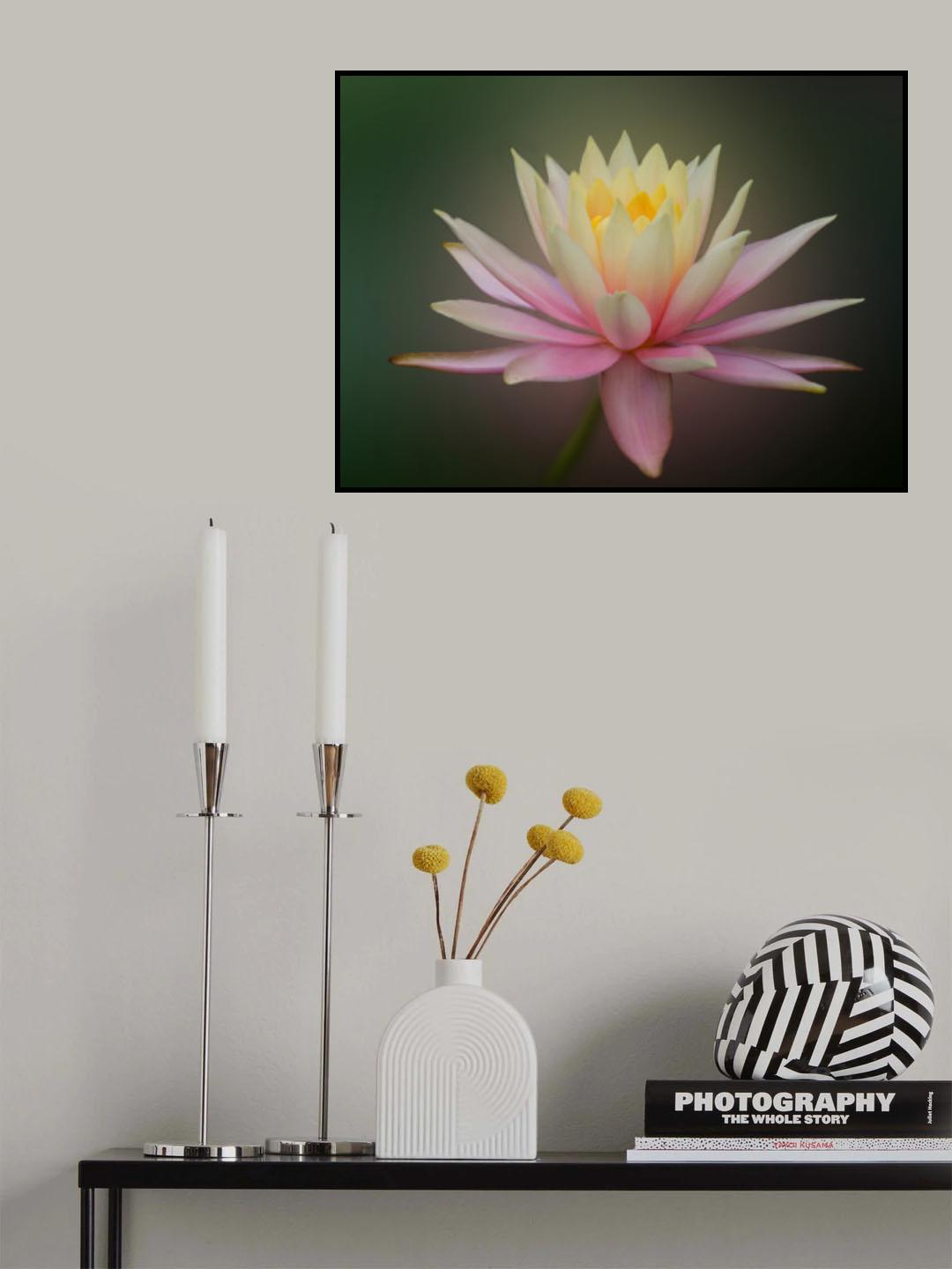 Water Lily Dream Poster och Canvastavla