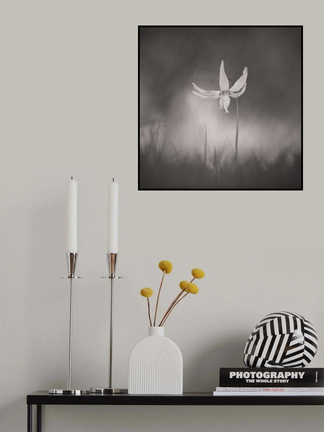 Under dark Skies Poster och Canvastavla