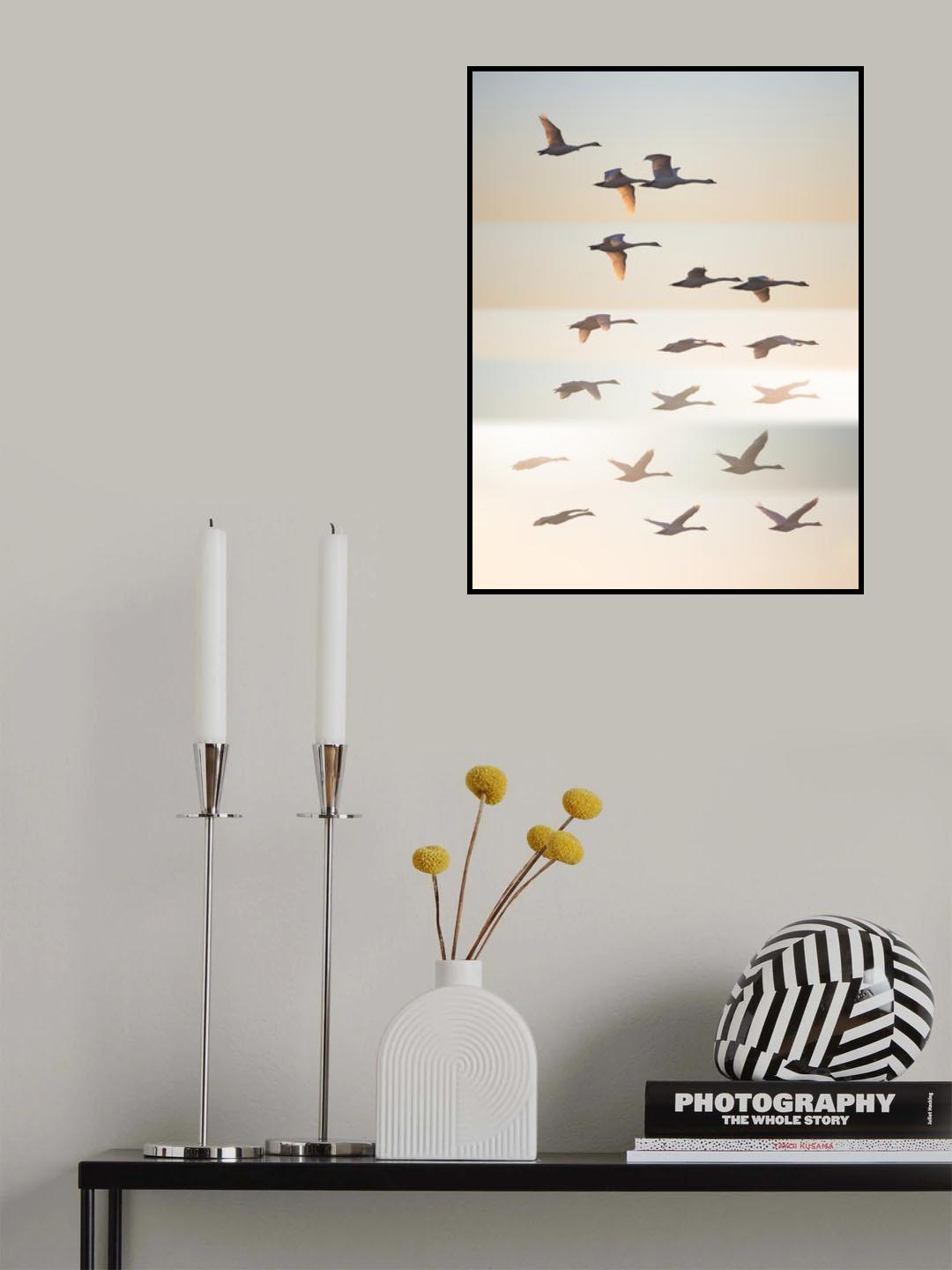 Past the sun. Poster och Canvastavla