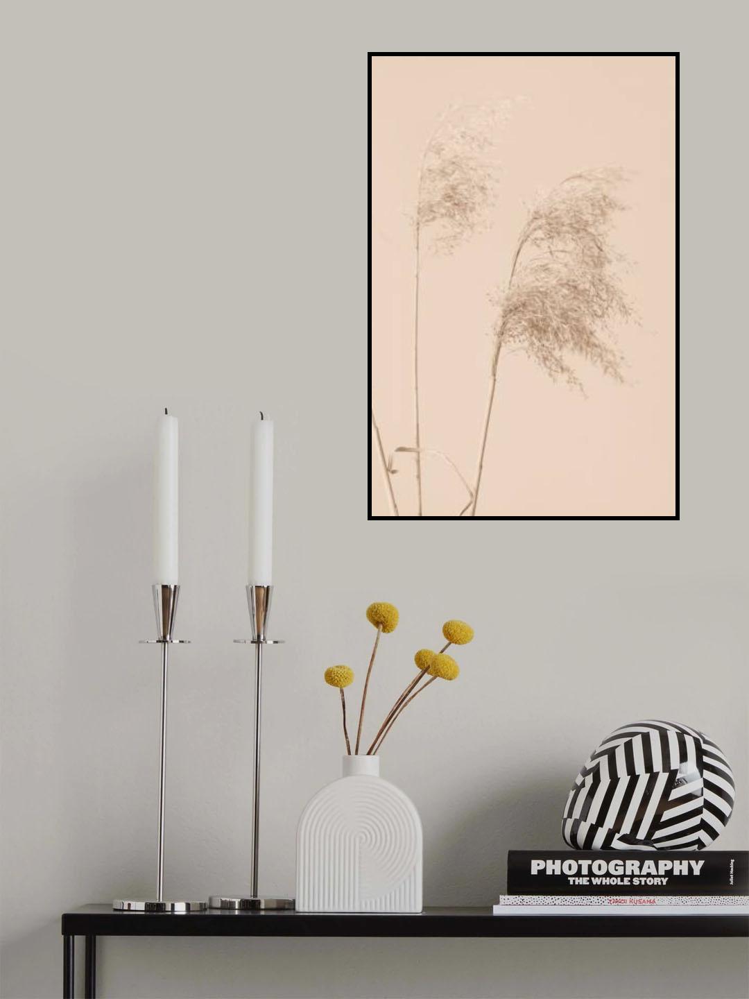 Reed Grass Begie 01 Poster och Canvastavla