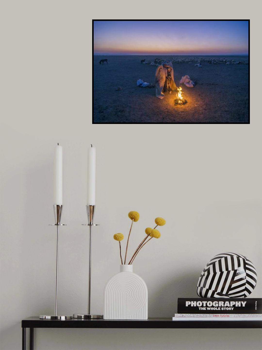 Shepherd fever Poster och Canvastavla
