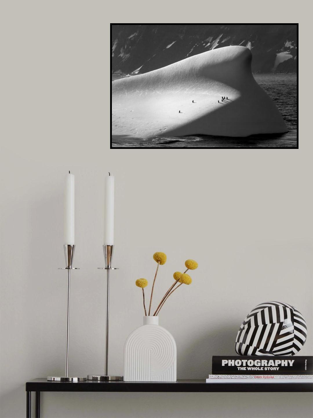 Penguin carrier Poster och Canvastavla