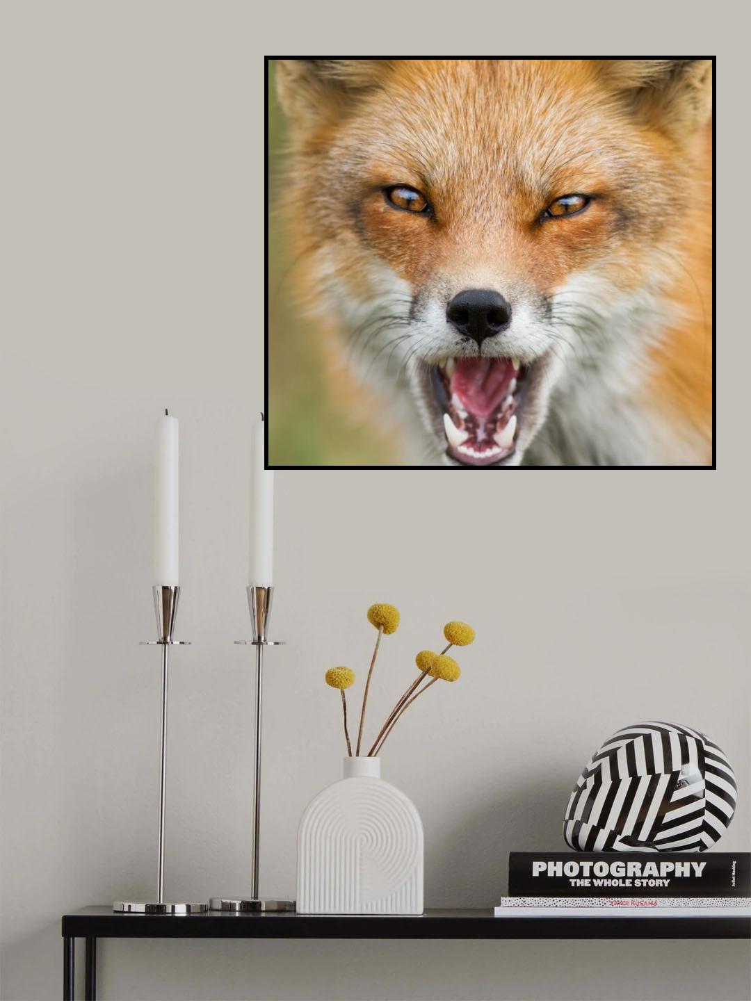 Wild Attitude Poster och Canvastavla