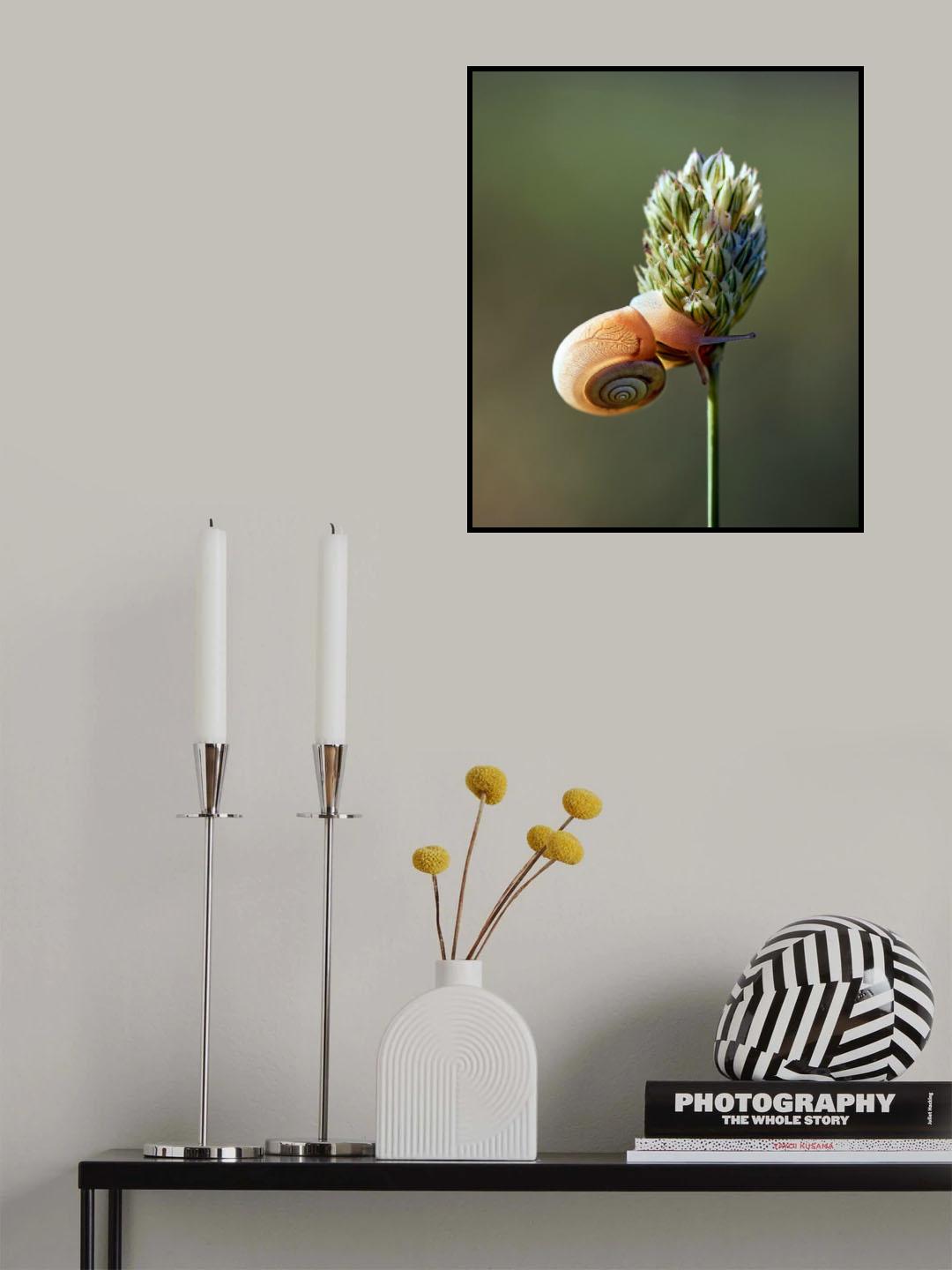 A courious pattern Poster och Canvastavla