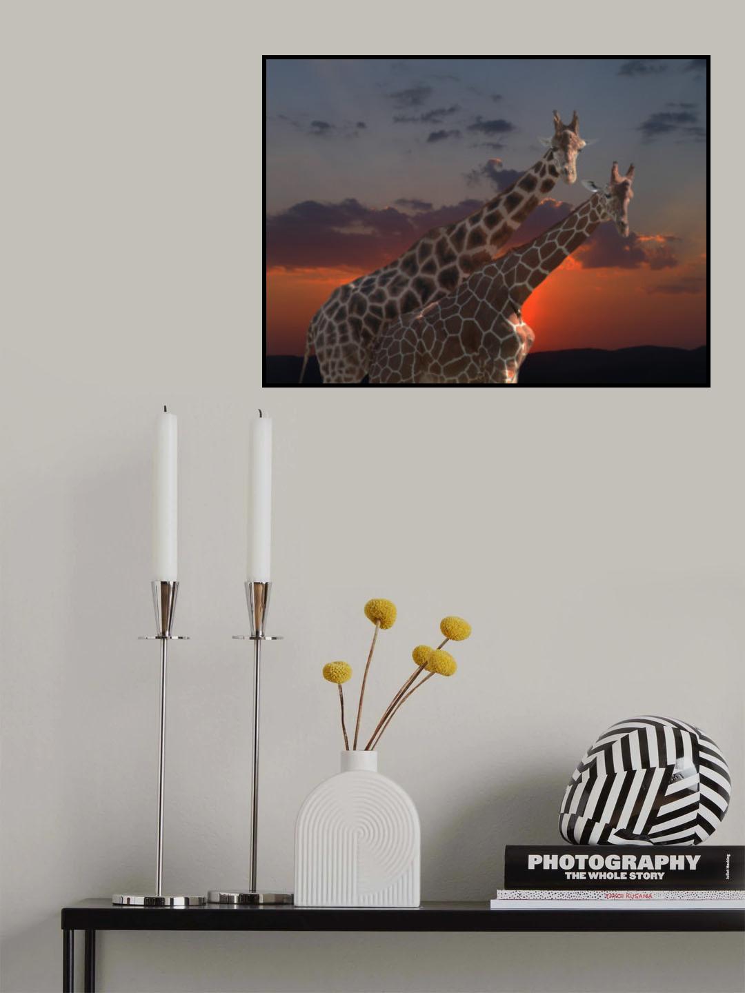girafes Poster och Canvastavla