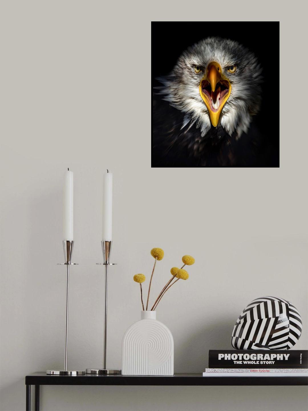 Eagel Poster och Canvastavla