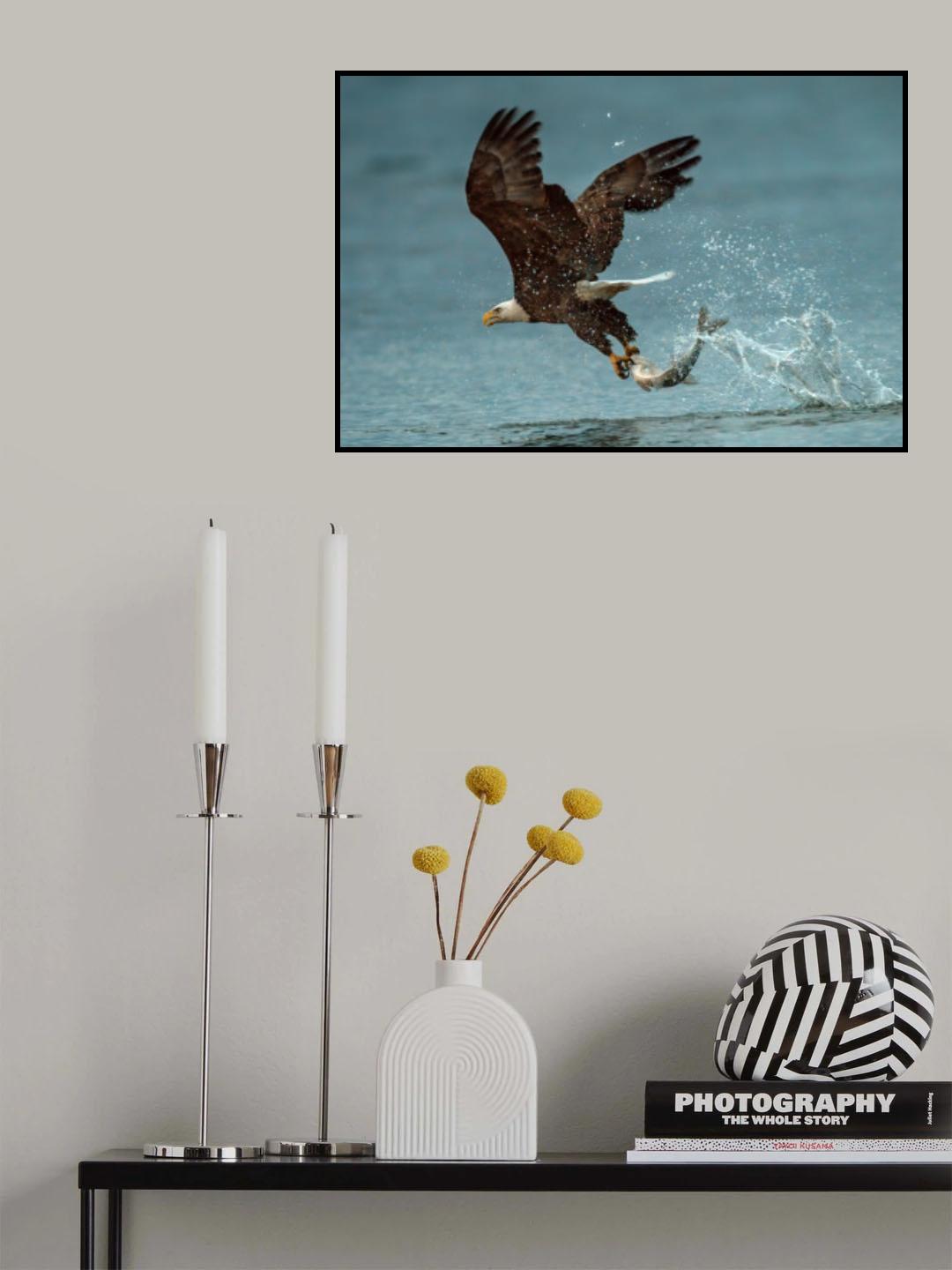 Bring dinner home Poster och Canvastavla