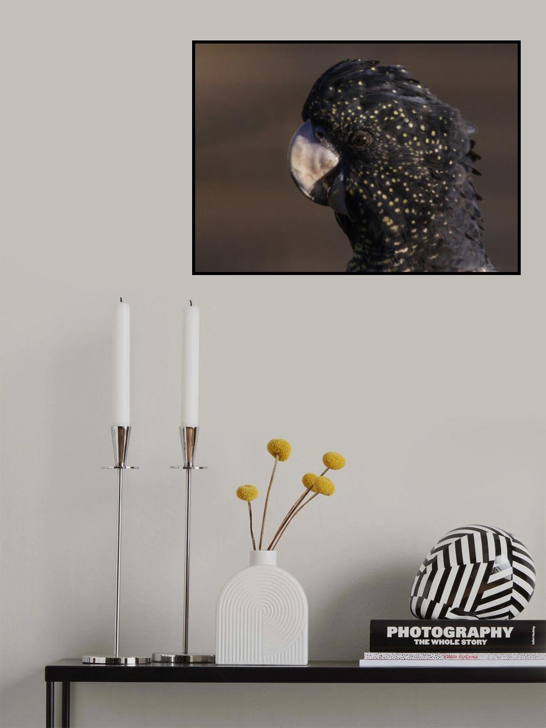 Close up to a Cockatoo Poster och Canvastavla