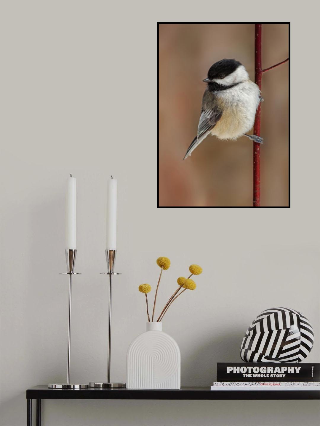 Little Darling Poster och Canvastavla
