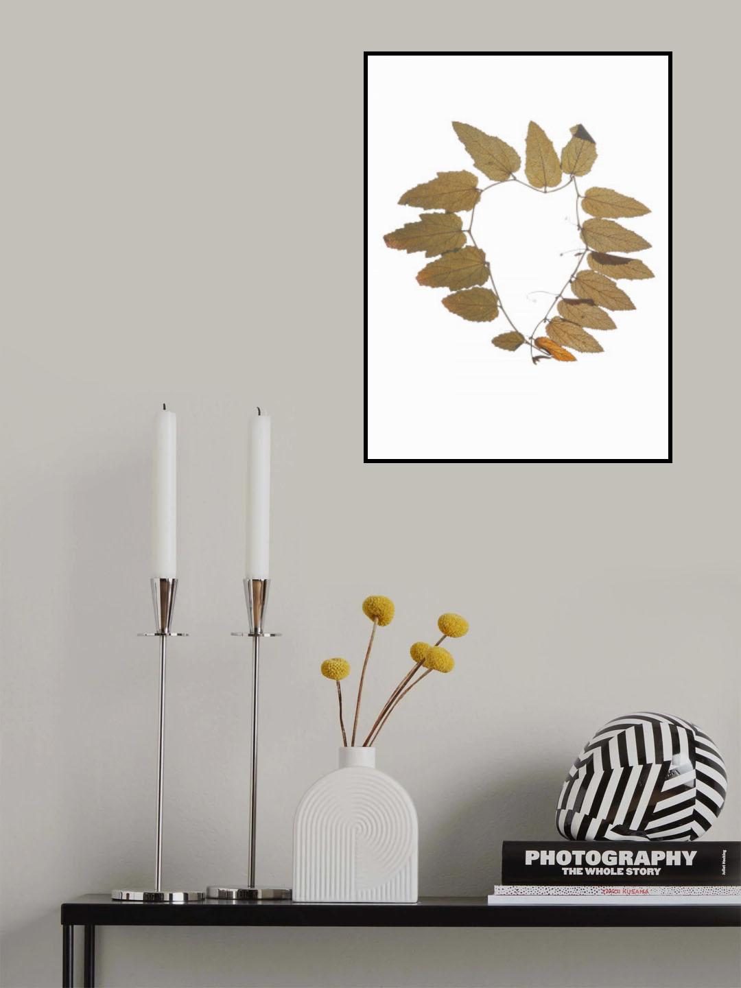 Herbarium 02 Poster och Canvastavla