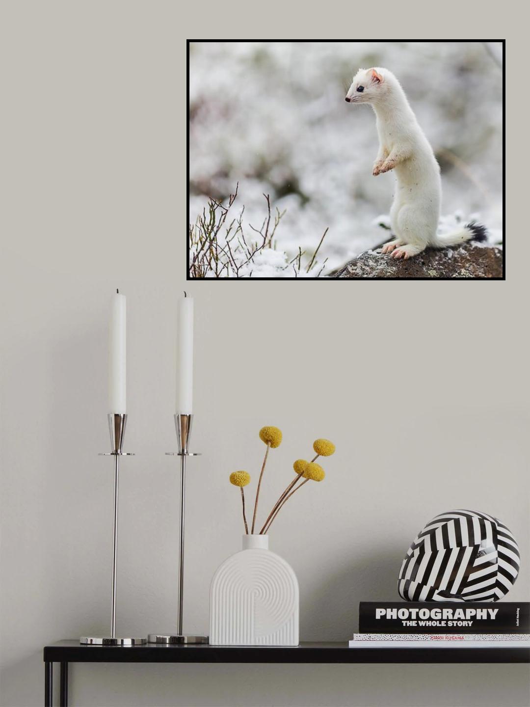 ...Mouse Hunter... Poster och Canvastavla