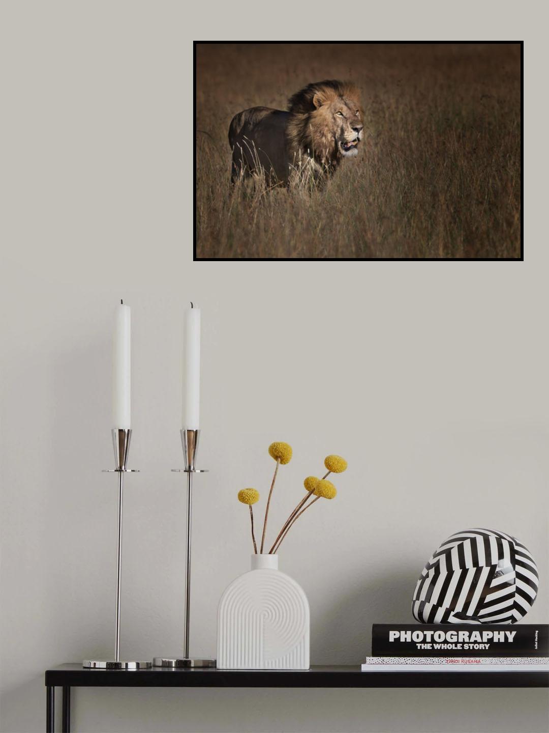 Lion King Poster och Canvastavla