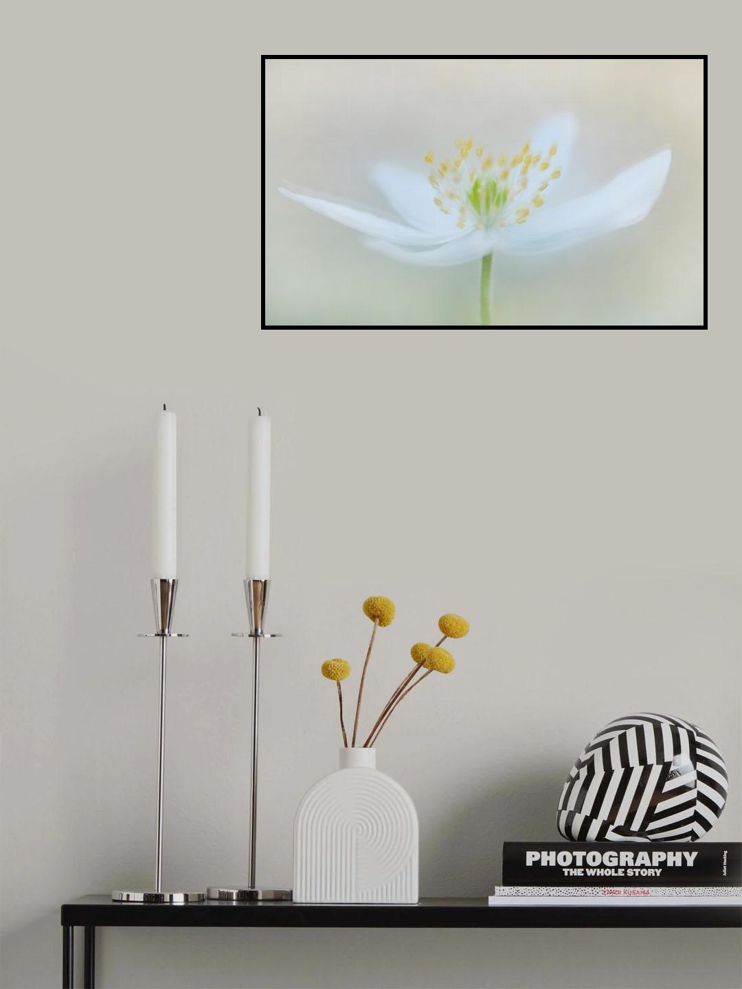 Seeds of spring Poster och Canvastavla