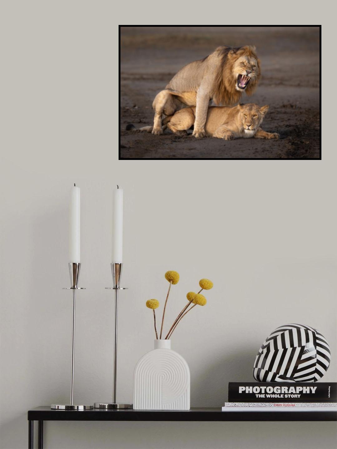 Love is in the air???? Poster och Canvastavla