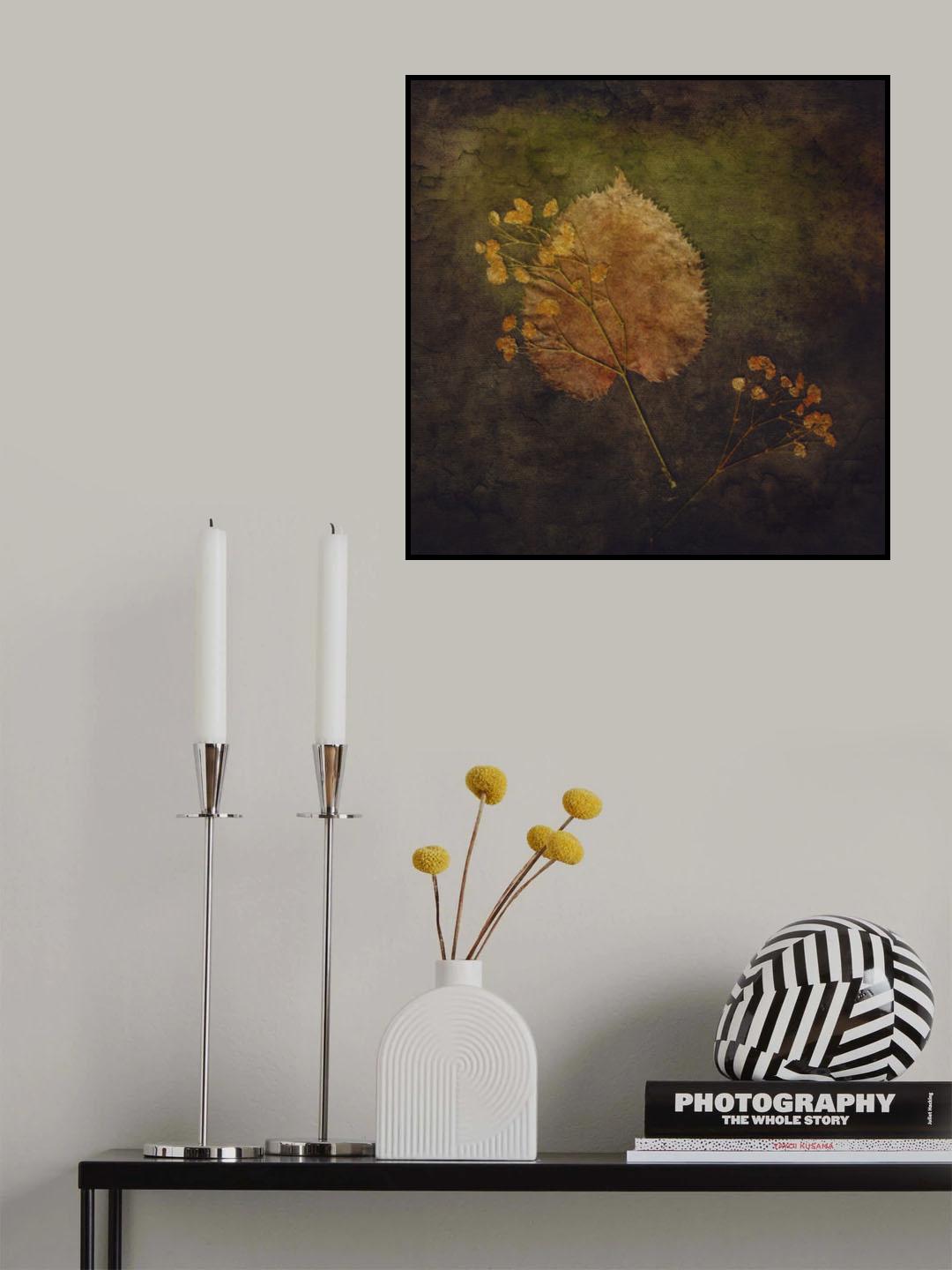 Embedded Poster och Canvastavla