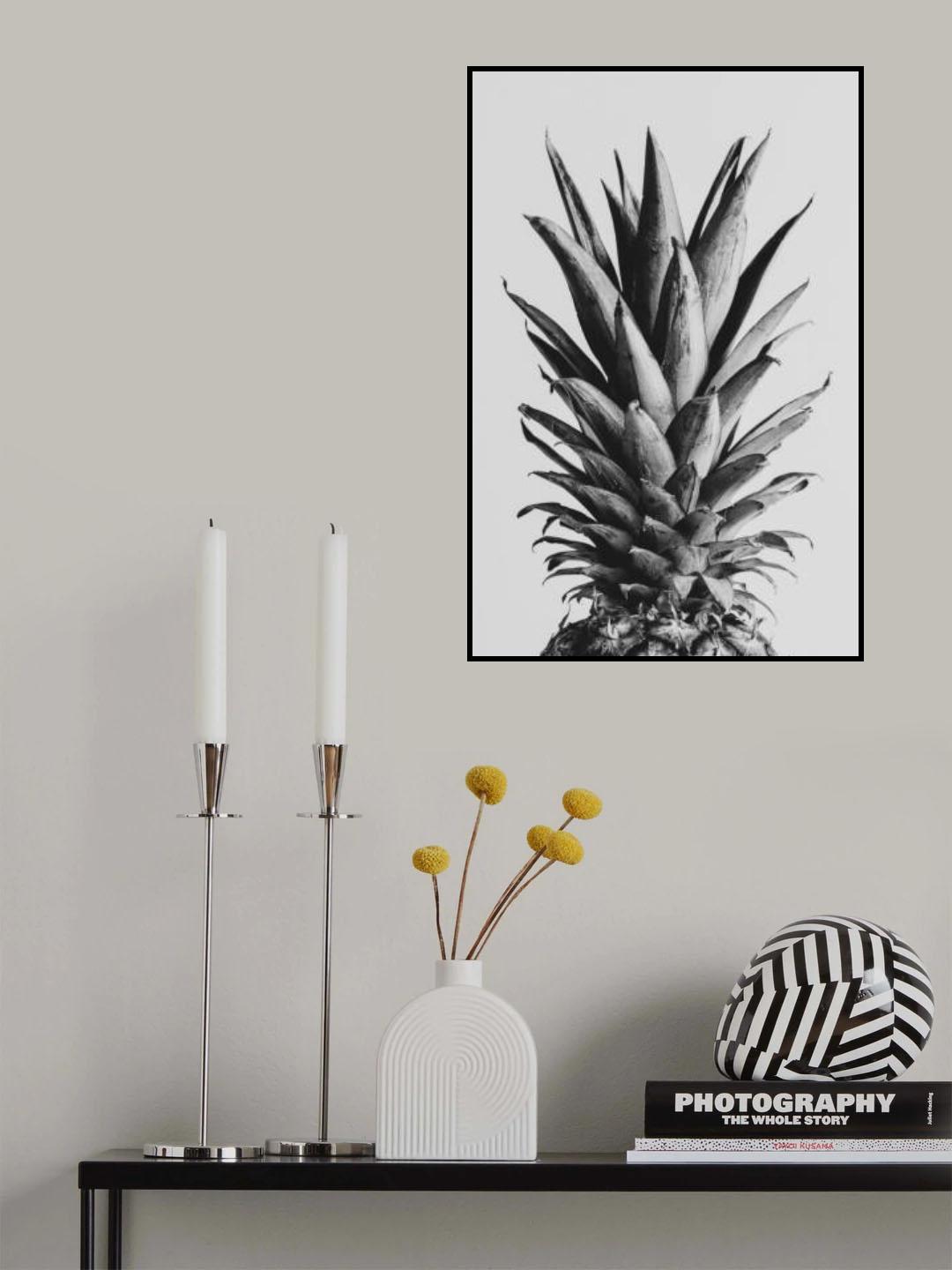 Pinapple Black & White 05 Poster och Canvastavla