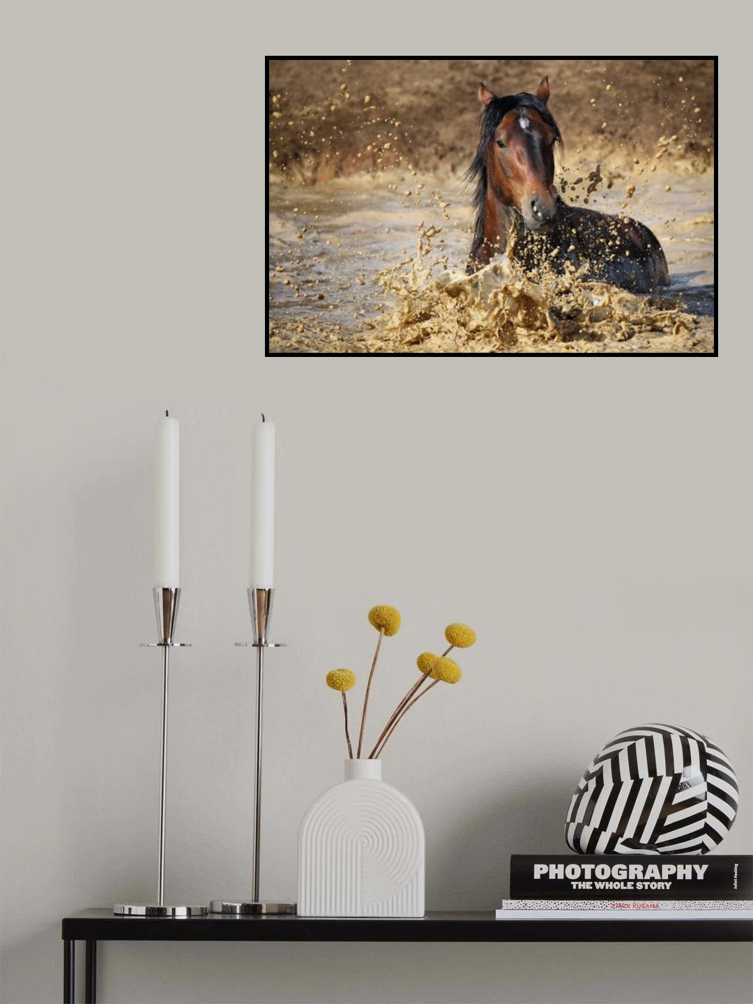 horse in water Poster och Canvastavla