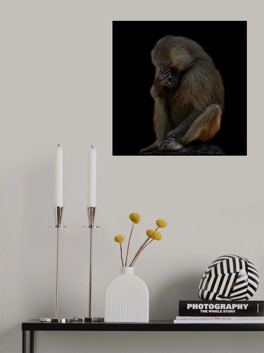 I am not There (Guinea baboon) Poster och Canvastavla