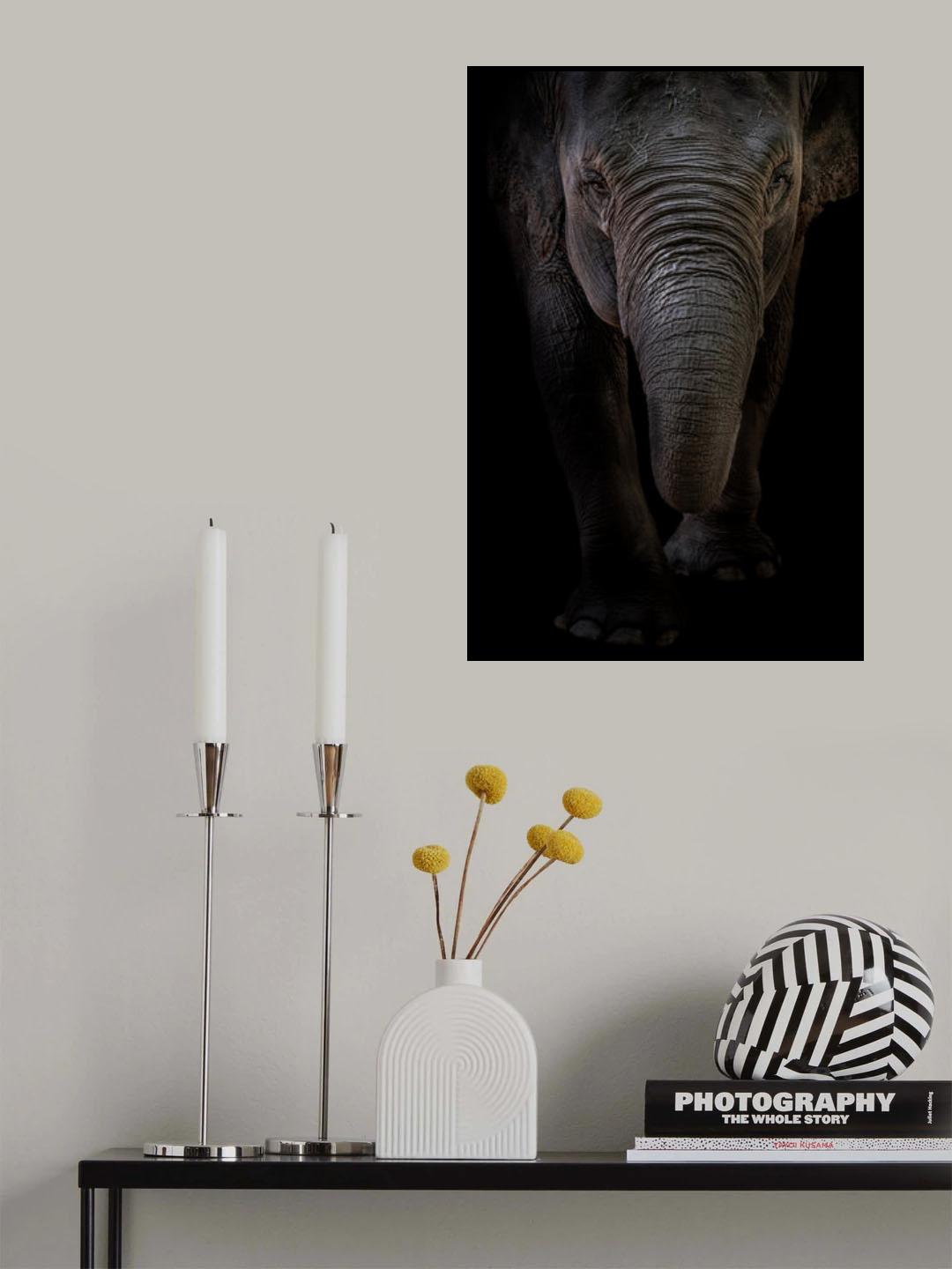 Dumbo Poster och Canvastavla