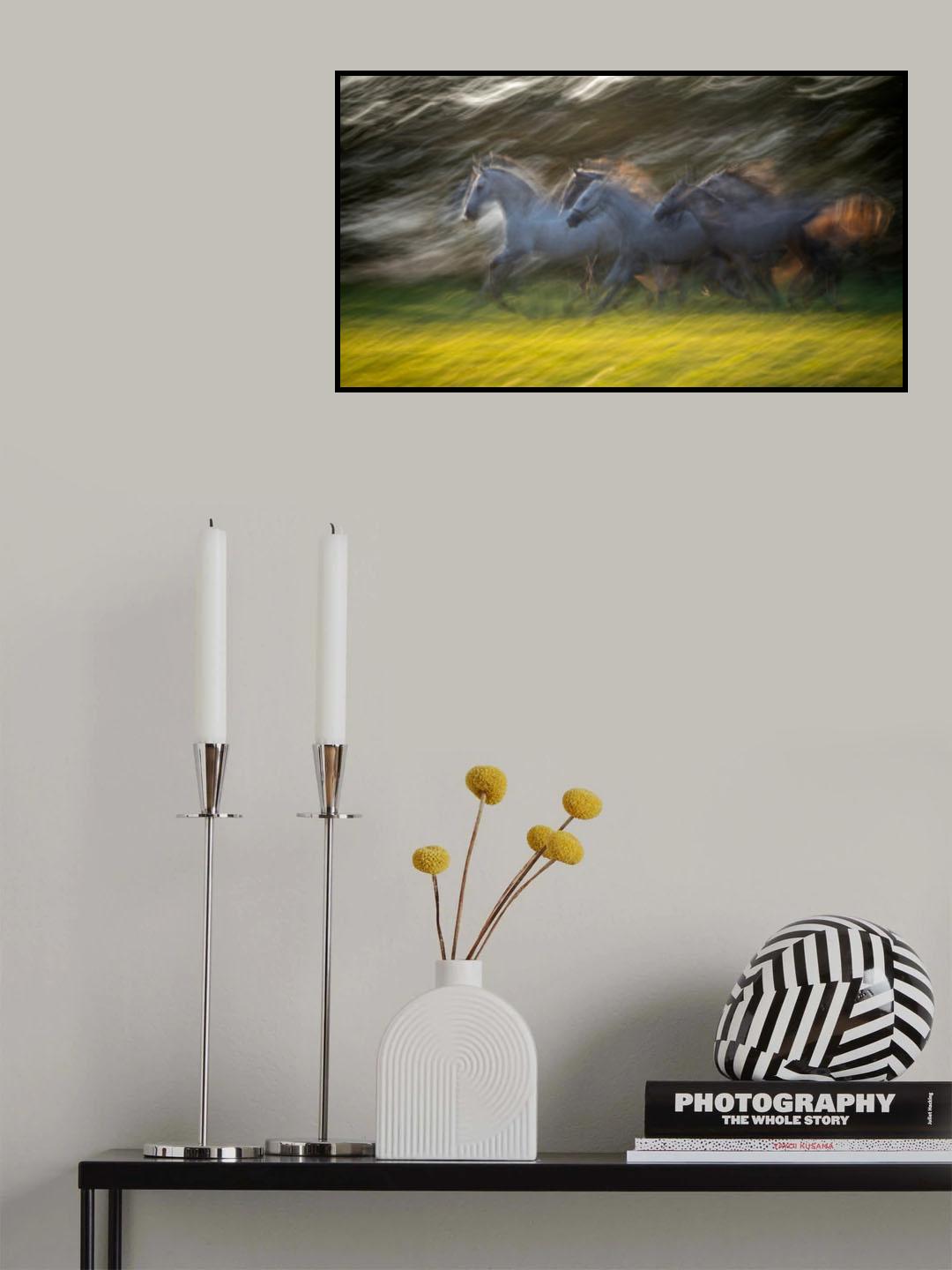 Gallop Poster och Canvastavla