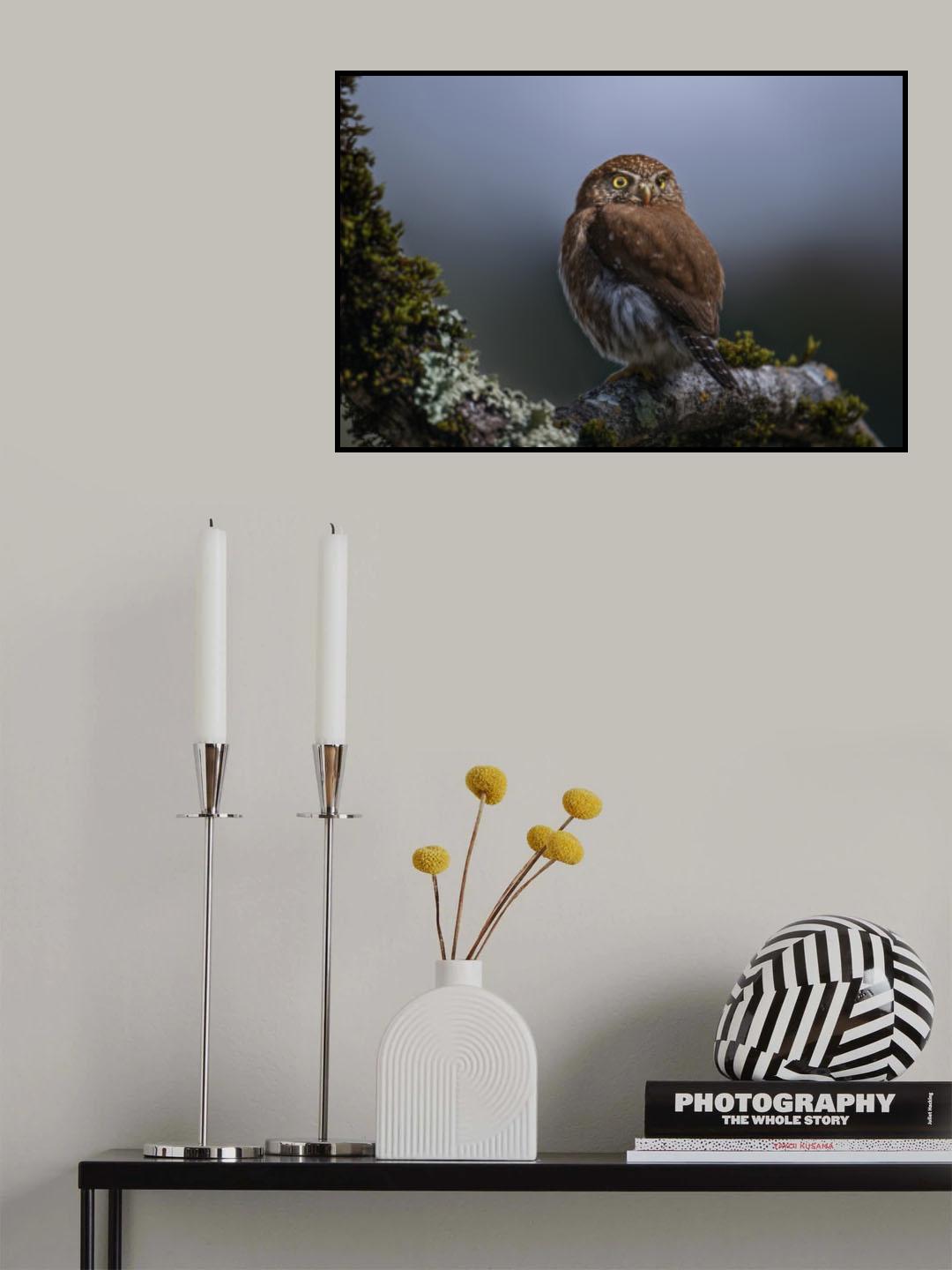 Eyes lit up Poster och Canvastavla